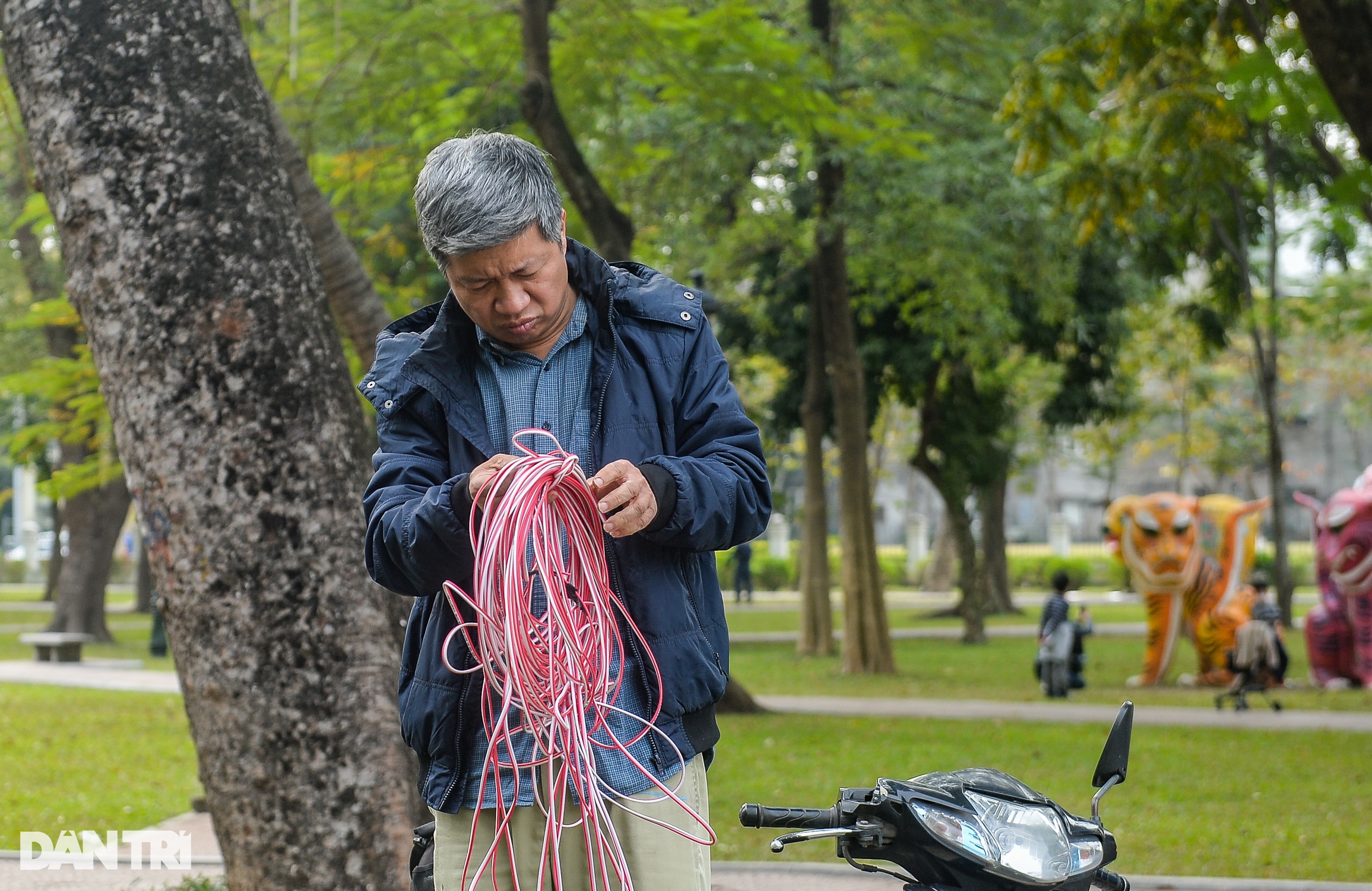 Tượng mèo có hình thù giống cáo ở Công viên Thống Nhất - 12