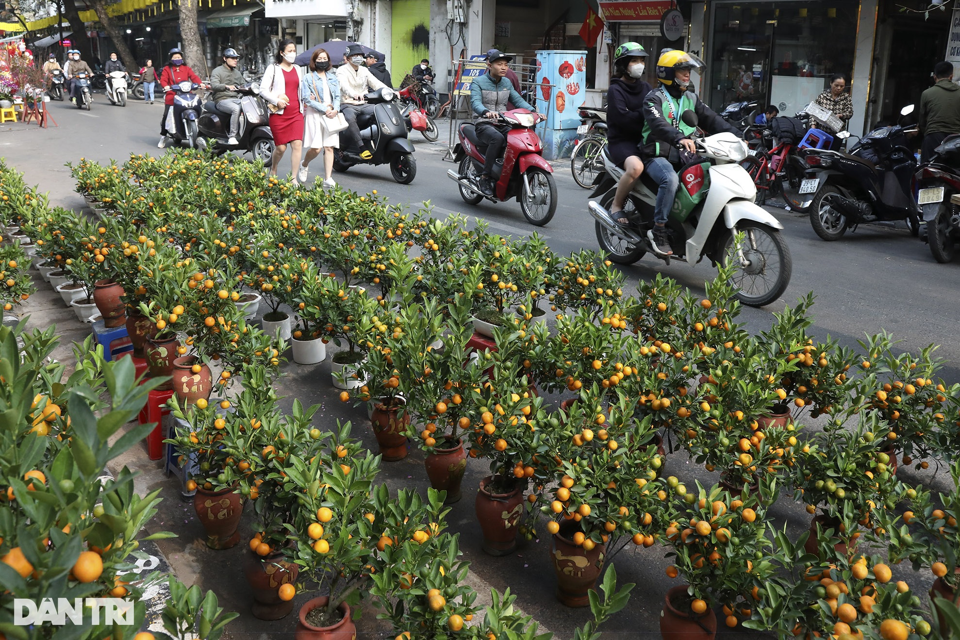 Sôi động phiên chợ hoa họp chỉ duy nhất một lần trong năm - 6 Sôi động phiên chợ hoa họp chỉ duy nhất một lần trong năm - 6