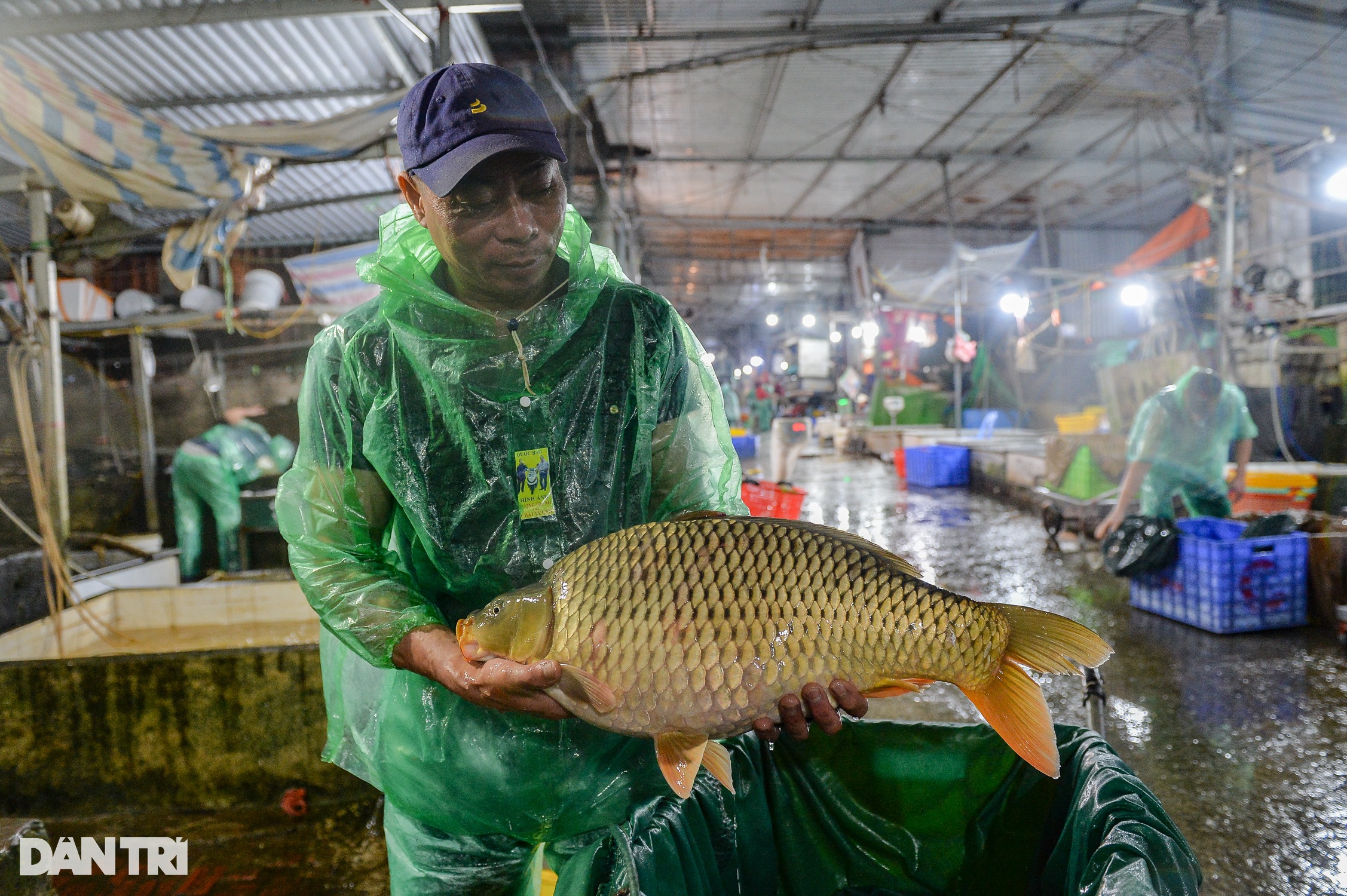 Cá chép vàng ở chợ cá lớn nhất miền Bắc rẻ bất ngờ ngày cúng ông Táo - 9