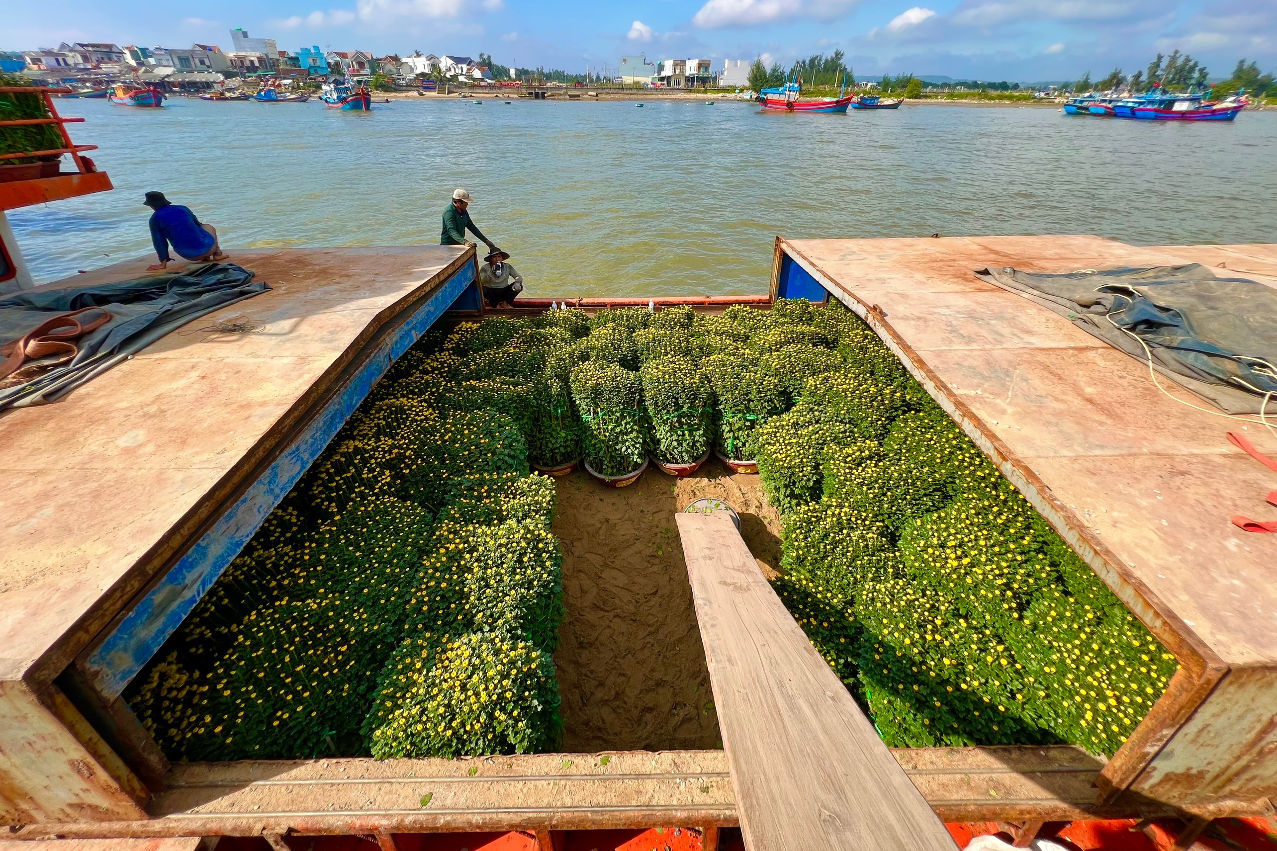 Chở Tết ra đảo Lý Sơn - 1