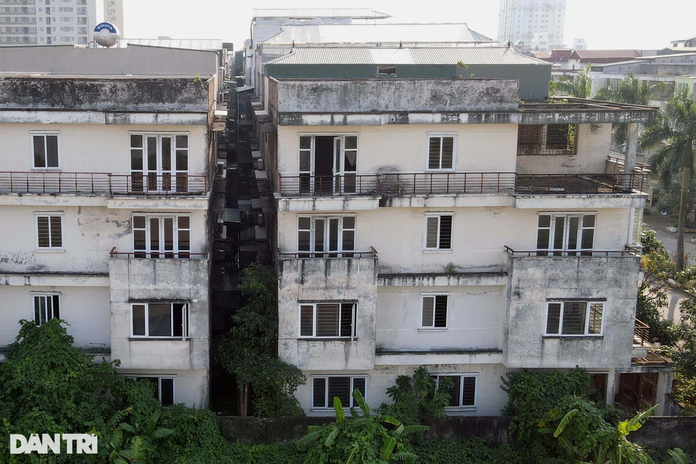 View - Chuối mọc um tùm trong biệt thự bỏ hoang ở một khu đô thị phía Tây Hà Nội | Báo Dân trí