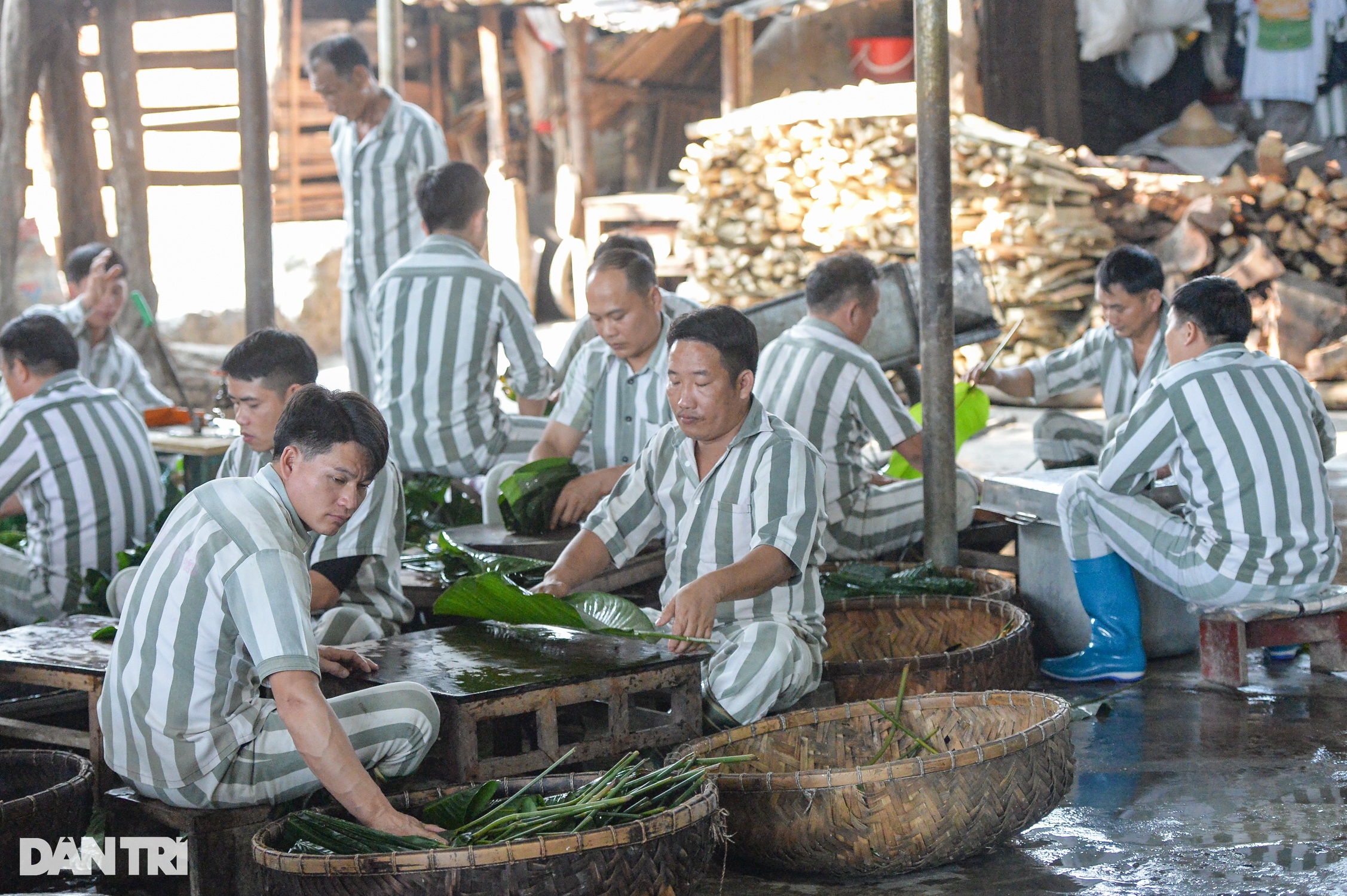 Phạm nhân khéo léo gói hàng nghìn bánh chưng đón Tết ở Trại giam Yên Hạ - 2