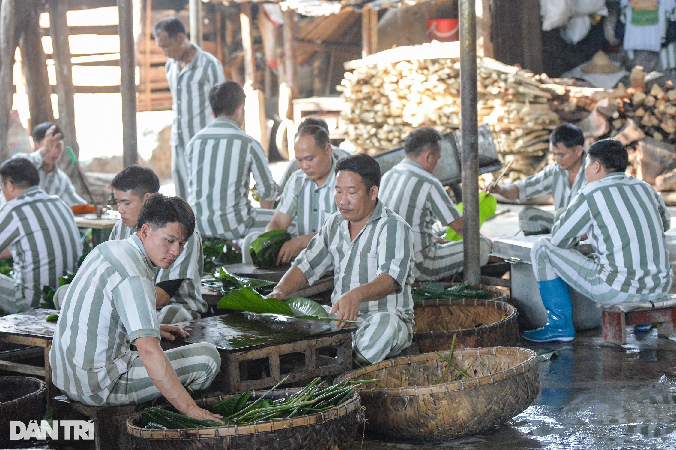 Phạm nhân khéo léo gói hàng nghìn bánh chưng đón Tết ở Trại giam Yên Hạ - 2 Phạm nhân khéo léo gói hàng nghìn bánh chưng đón Tết ở Trại giam Yên Hạ - 2