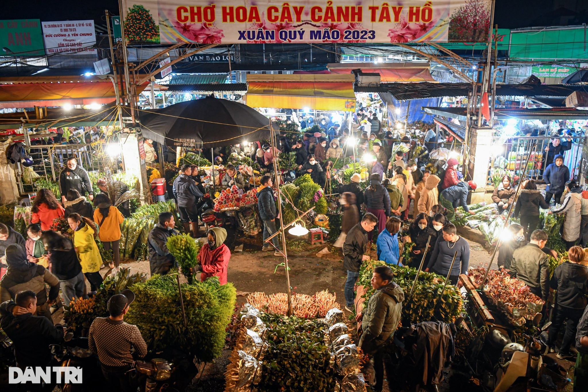 Đông nghịt người chen chân giữa đêm mua bán tại chợ hoa lớn nhất Hà Nội - 6