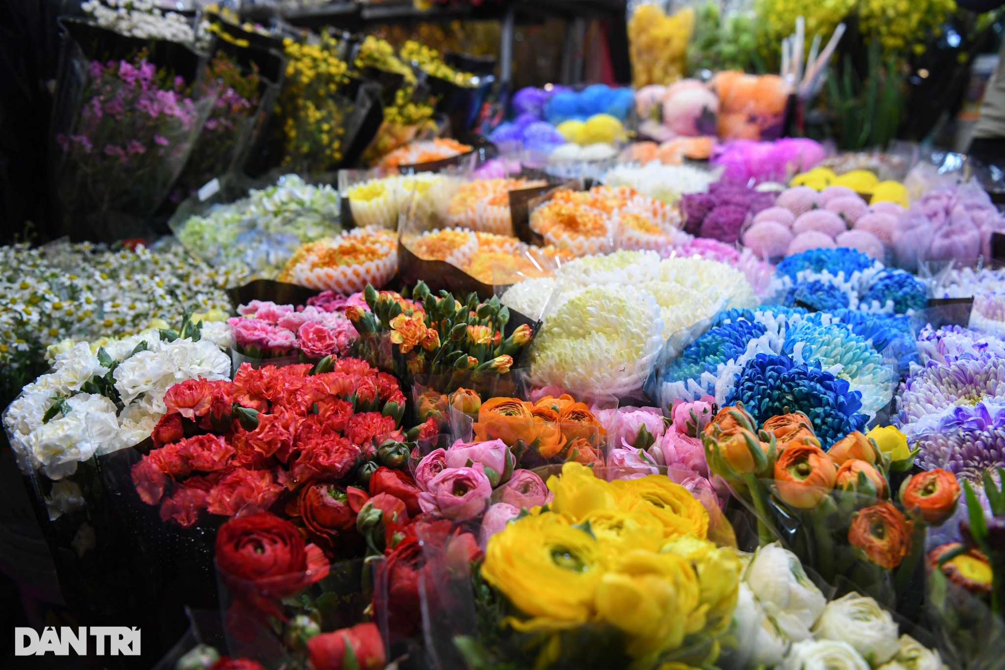 Đông nghịt người chen chân giữa đêm mua bán tại chợ hoa lớn nhất Hà Nội - 5