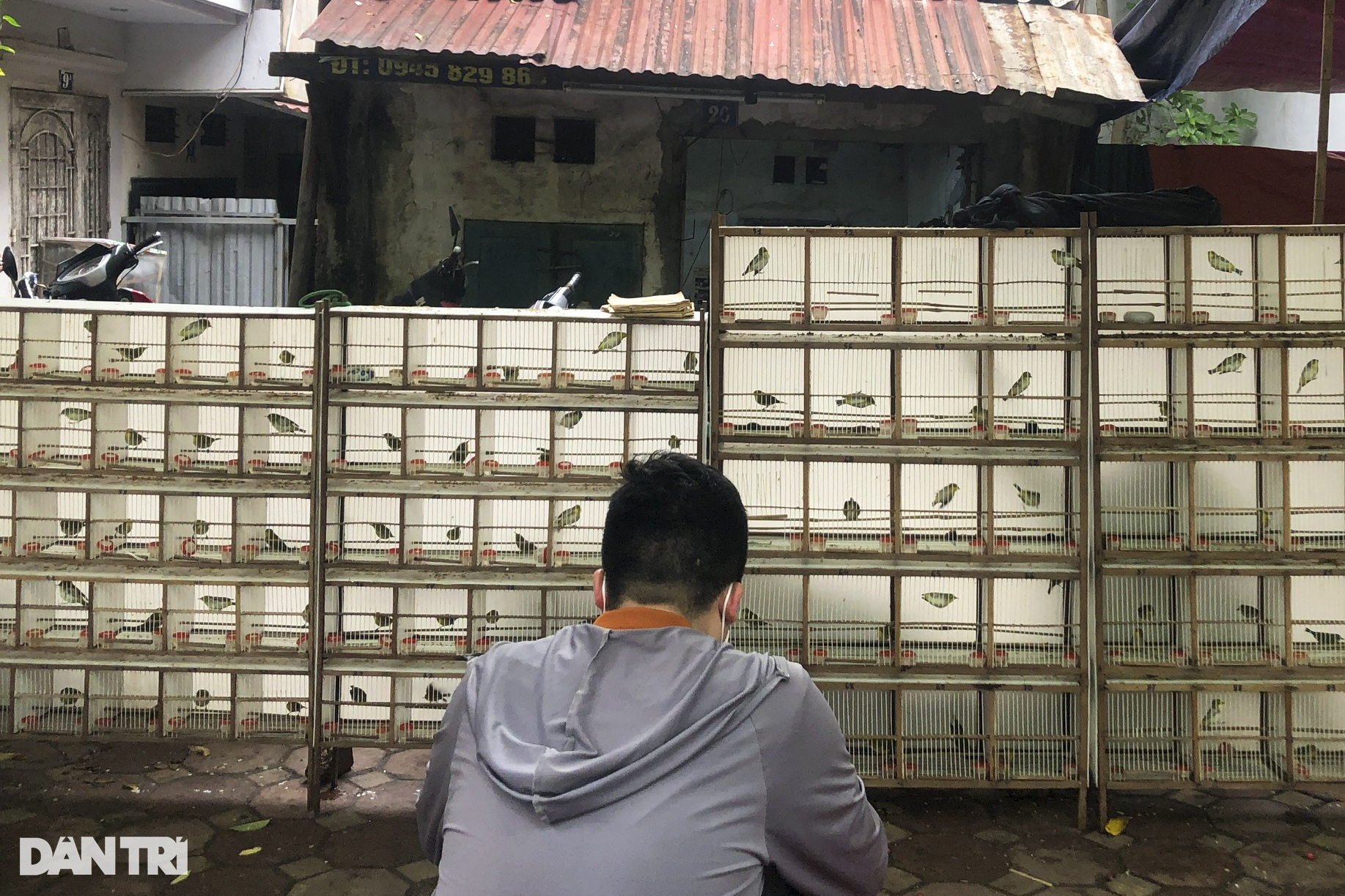 Phiên chợ Bưởi cuối cùng trong năm mang dấu ấn văn hóa Hà Nội xưa - 5 Phiên chợ Bưởi cuối cùng trong năm mang dấu ấn văn hóa Hà Nội xưa - 5