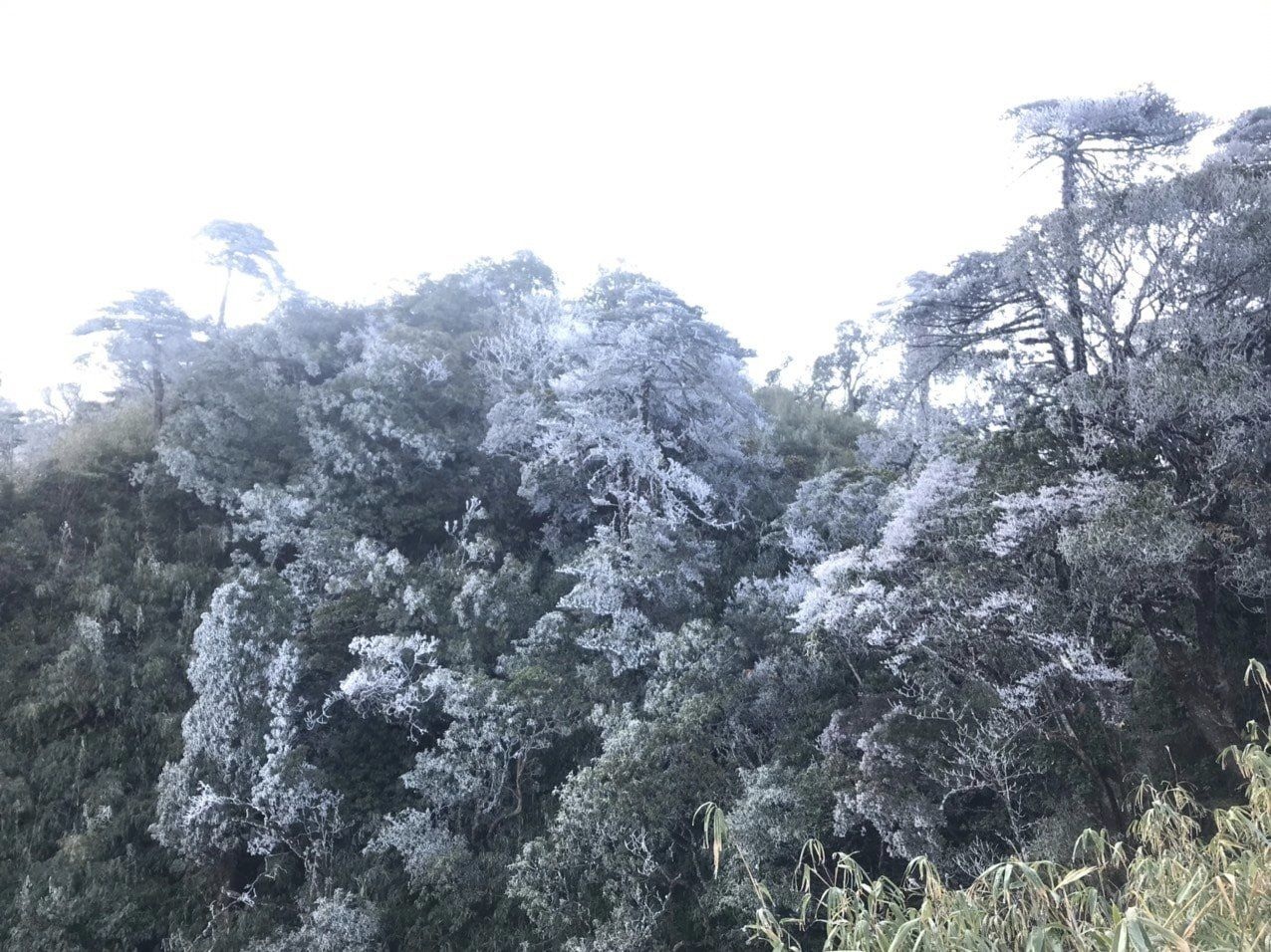 Chiều mùng 3 Tết, băng tuyết xuất hiện tuyệt đẹp trên núi Hoàng Liên Sơn - 5