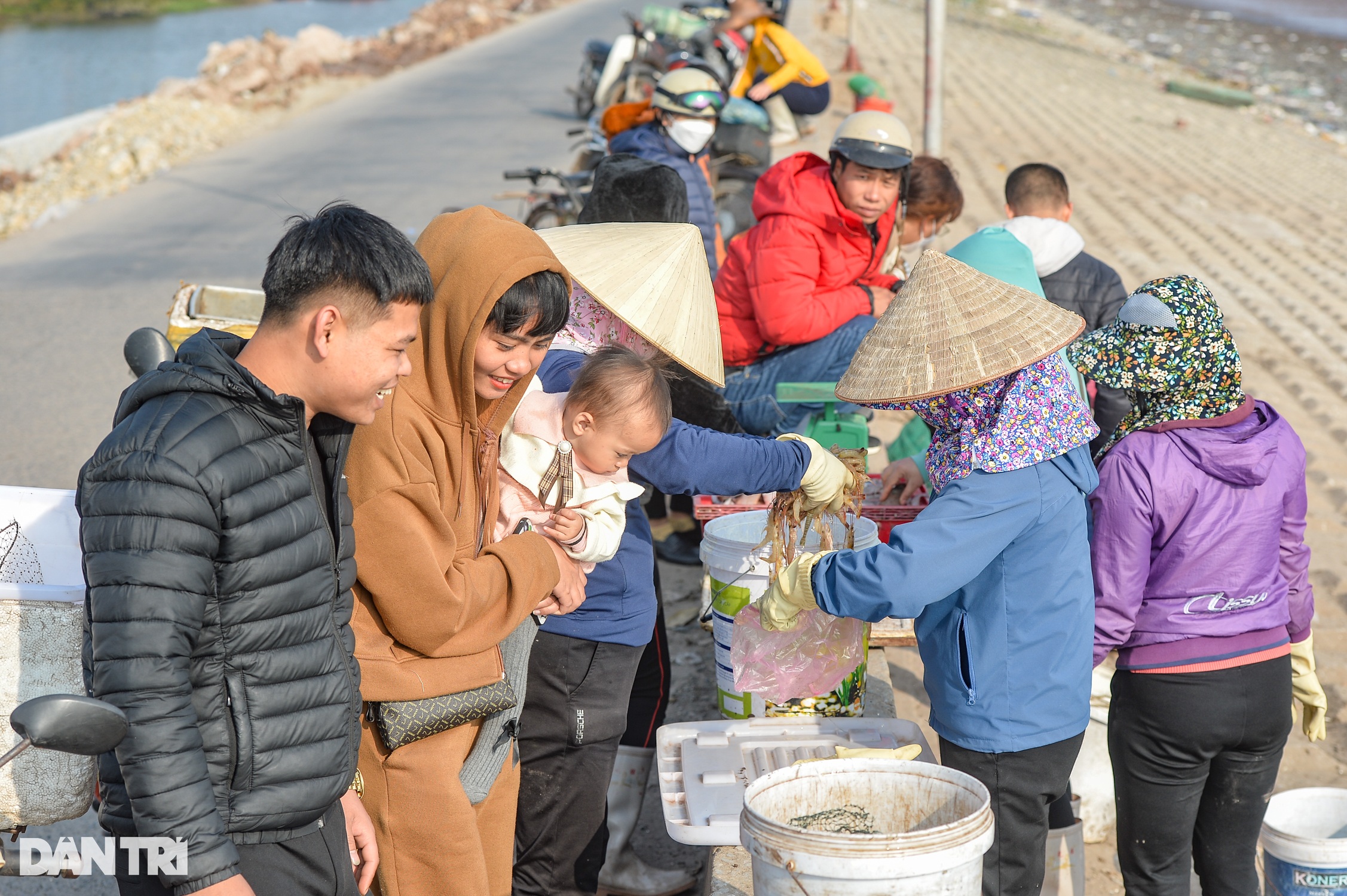 Săn tôm tít đầu năm, ngư dân kiếm tiền triệu mỗi ngày - 12