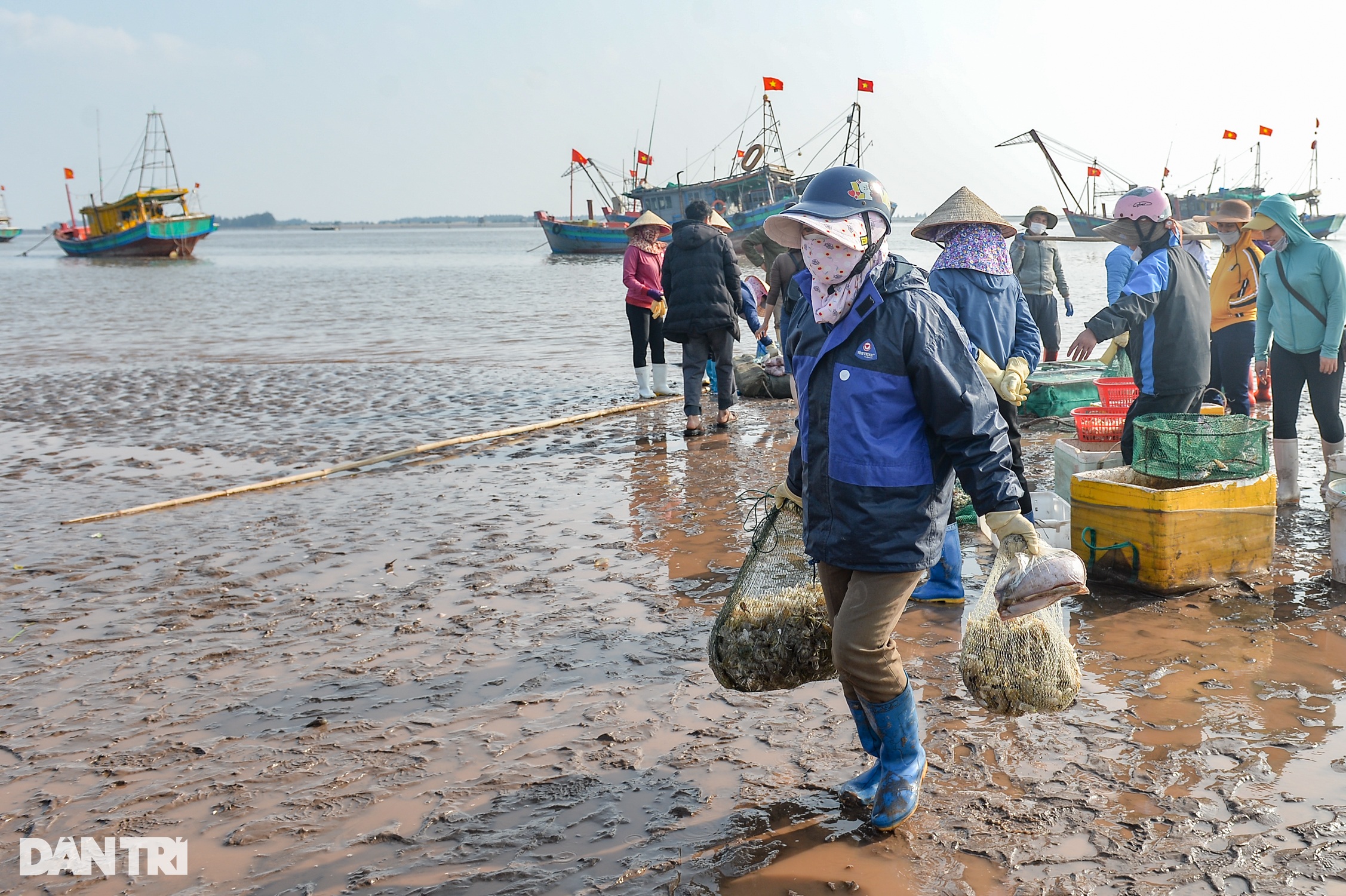 Săn tôm tít đầu năm, ngư dân kiếm tiền triệu mỗi ngày - 3