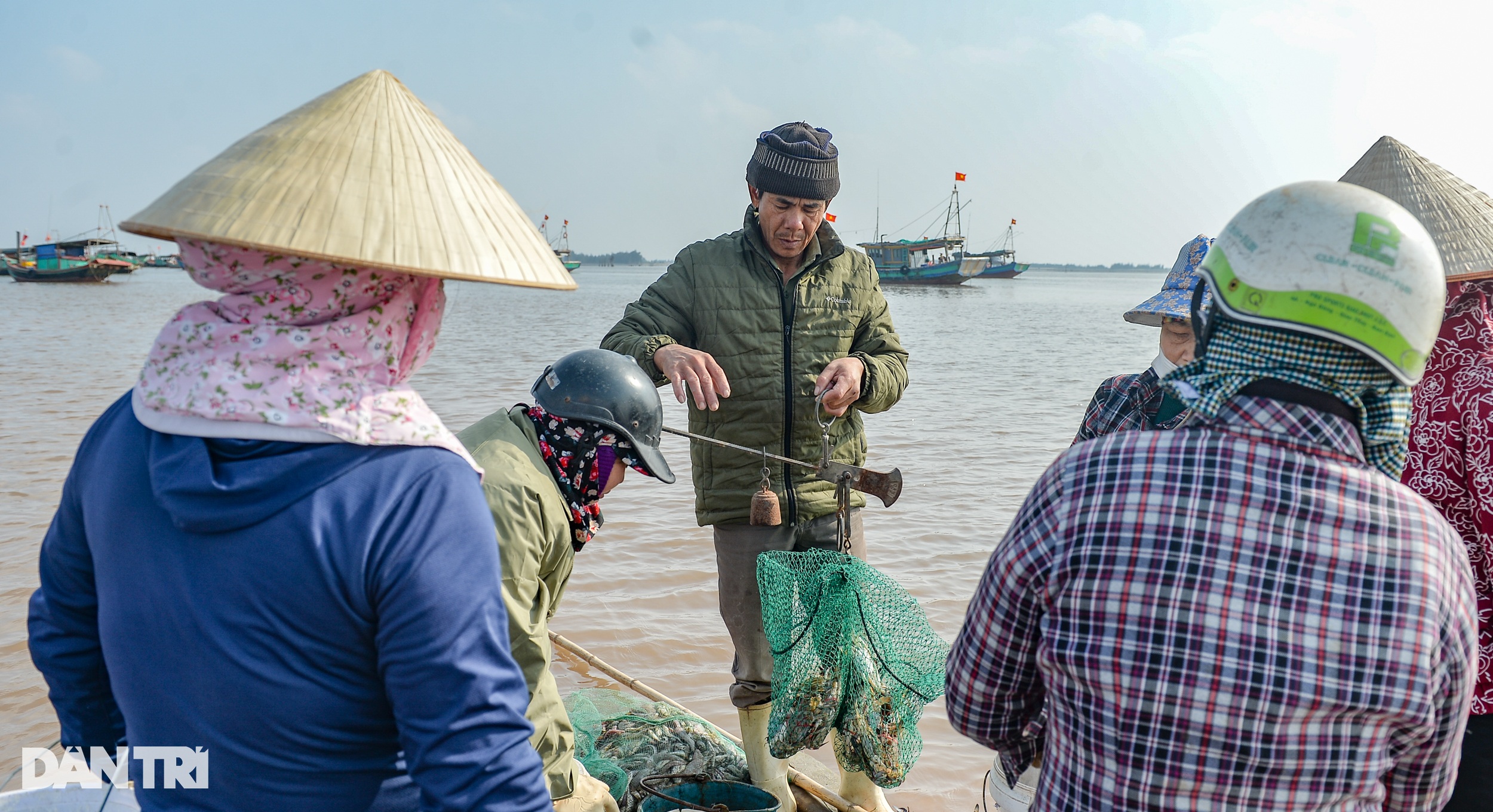 Săn tôm tít đầu năm, ngư dân kiếm tiền triệu mỗi ngày - 4 Săn tôm tít đầu năm, ngư dân kiếm tiền triệu mỗi ngày - 4