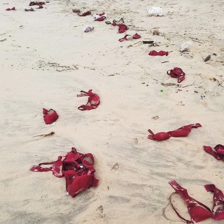 Hàng trăm áo ngực dạt vào bờ biển Quảng Ngãi - 1