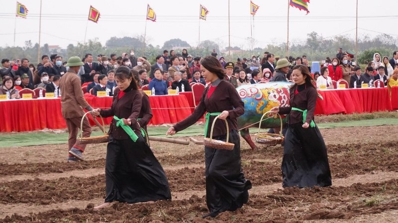 Đầu năm vua xuống ruộng đi cày - 9