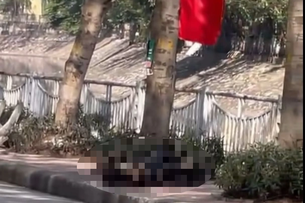 Người phụ nữ dùng xăng tự thiêu trên phố Hà Nội - 1