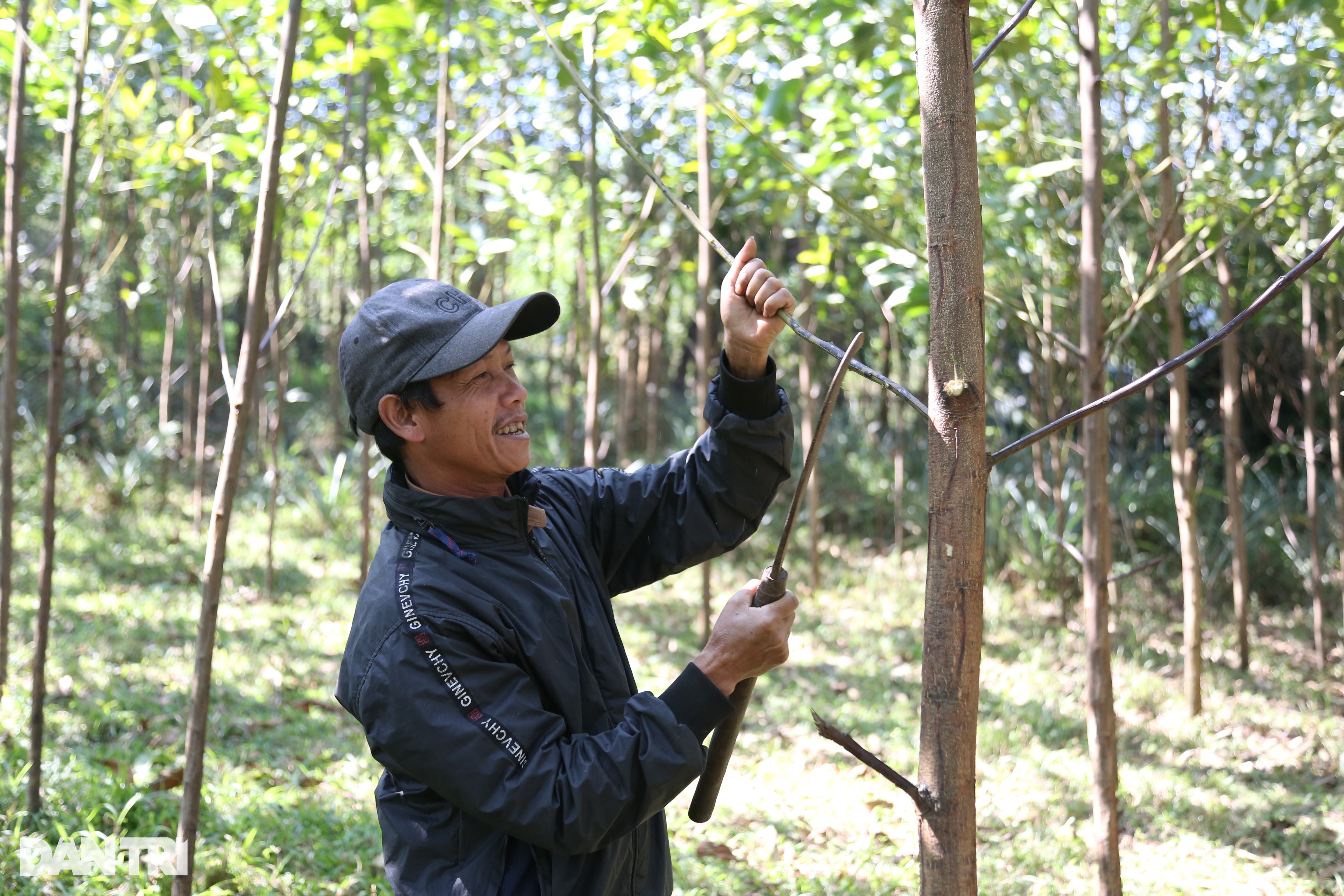 Tôi Hồ Phình, xin làm hết mình - 4