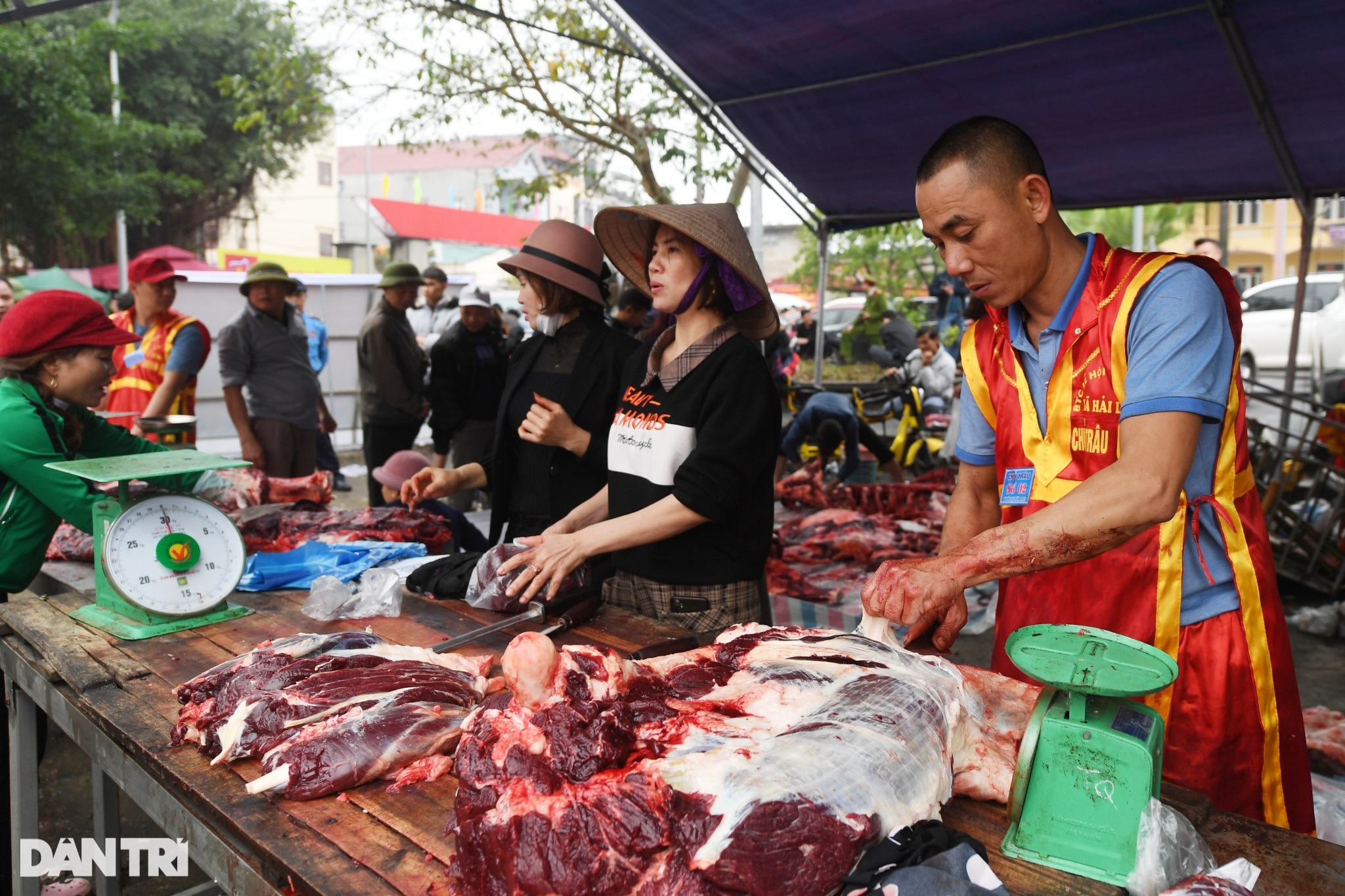 Chọi trâu Hải Lựu: Trâu vừa vô địch đã bị xẻ thịt bán 5 triệu đồng/kg - 15