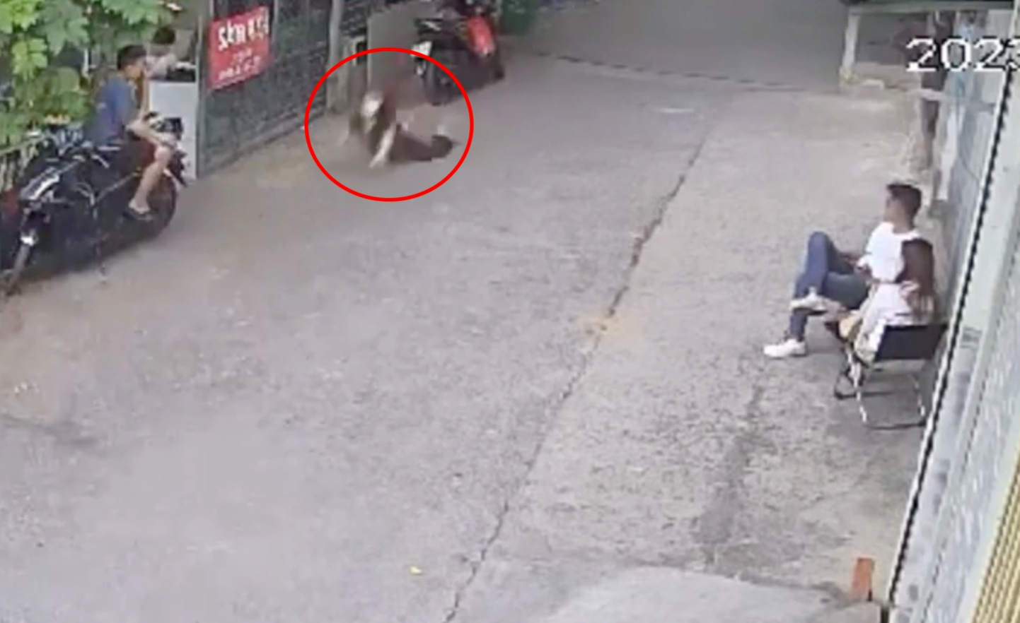Cô gái ngã úp mặt xuống đường khi đuổi theo kẻ cướp giật ở TPHCM - 1