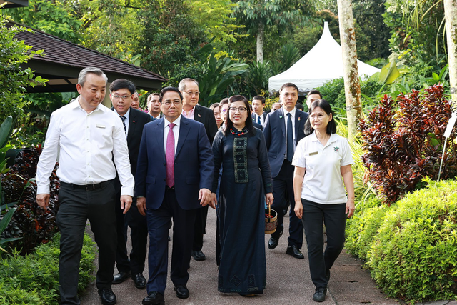 Singapore lấy tên Thủ tướng Phạm Minh Chính và Phu nhân đặt cho loài hoa lan mới - 2