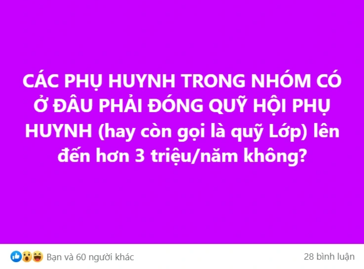 Giáo viên bỏ việc vì áp lực phải thu tiền tự nguyện của phụ huynh - 2