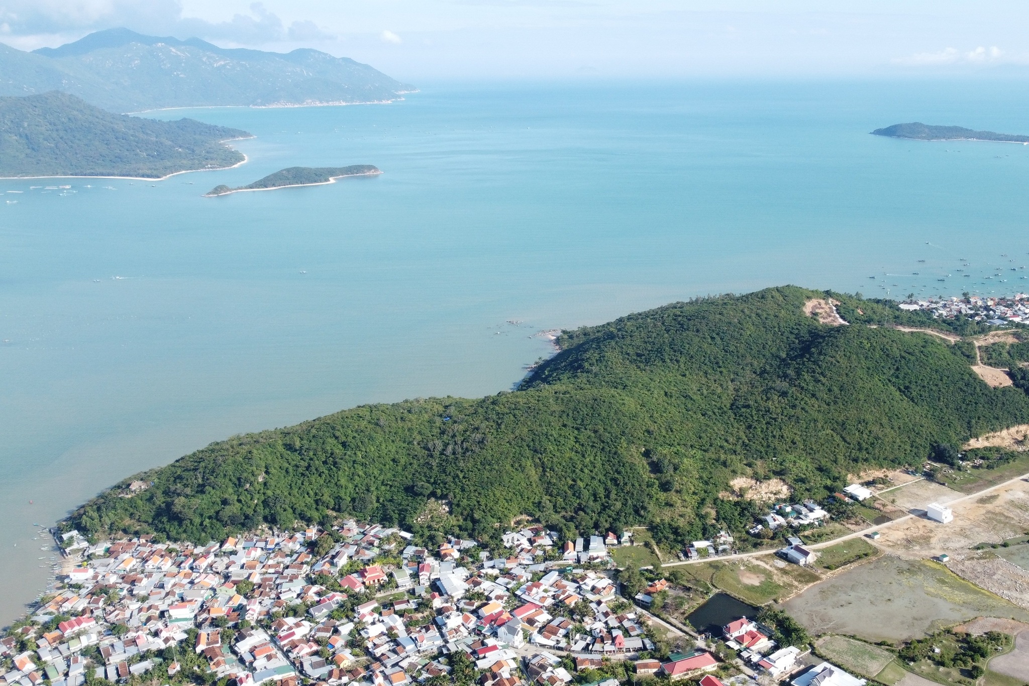 Đàn khỉ hàng trăm con tràn xuống quậy phá nhà dân - 1