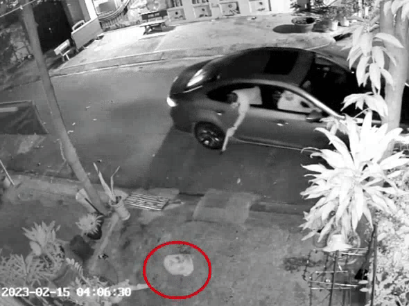 3 người đàn ông đi ô tô trộm chó trong 5 giây - 1