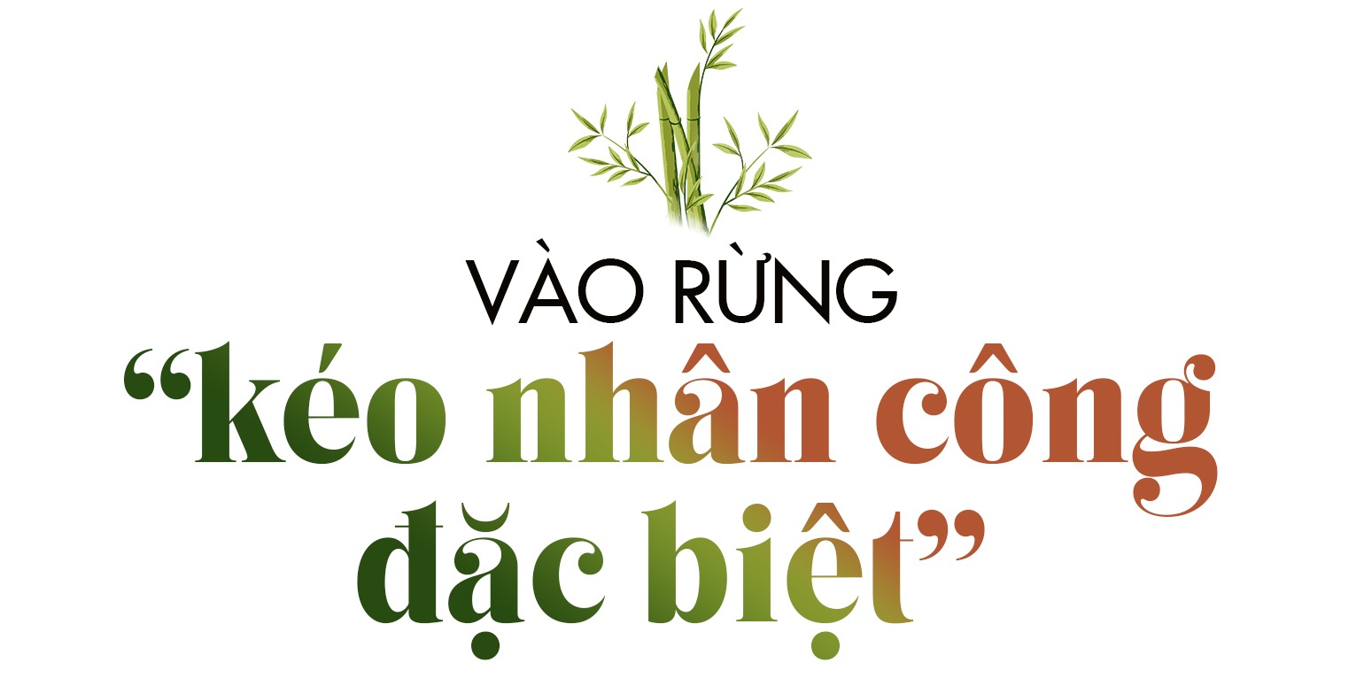 Biến cây khắc nhập, khắc xuất thành sản phẩm tiền triệu - 7