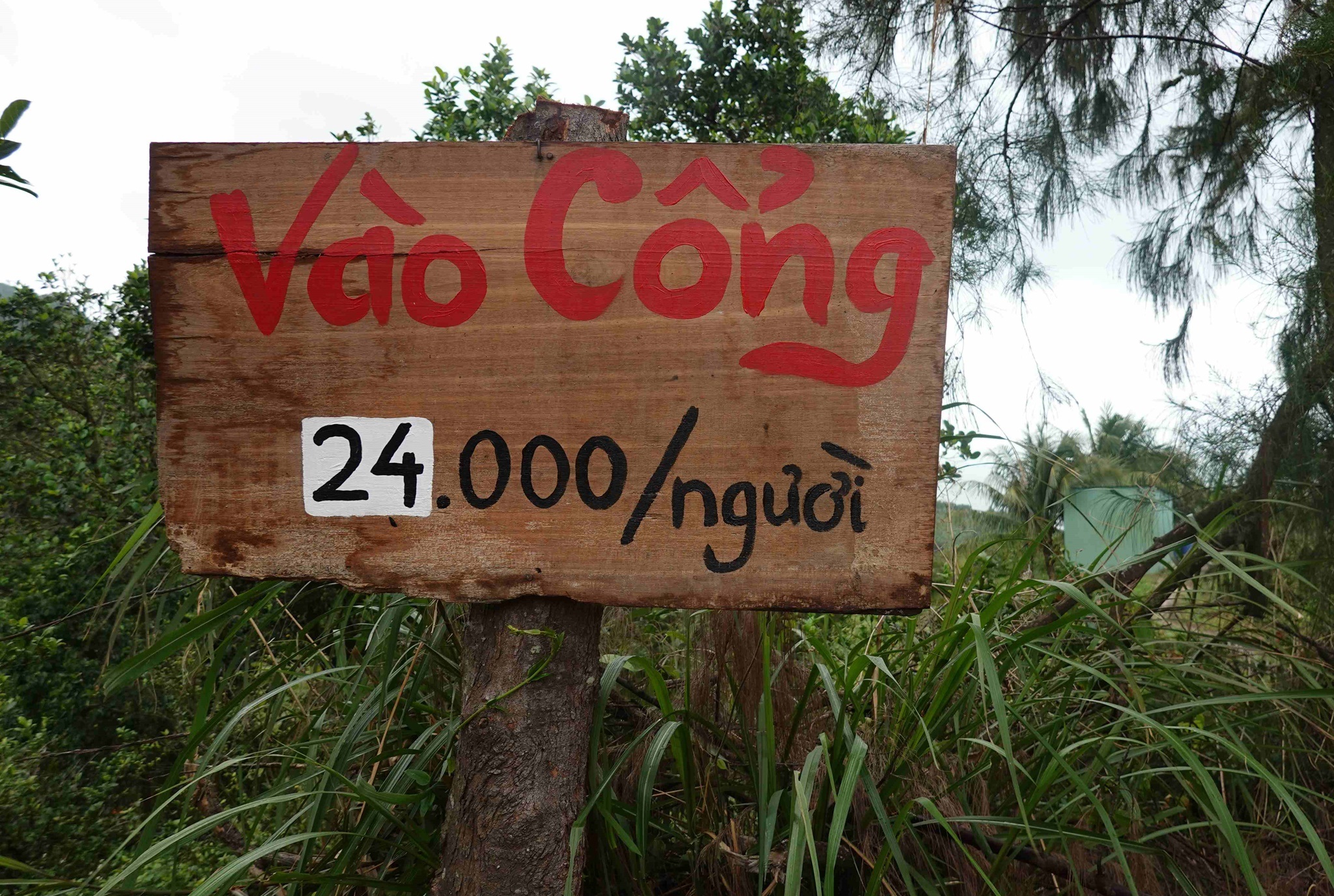 Nhiều điểm du lịch mọc trái phép trên núi ở Quy Nhơn - 3