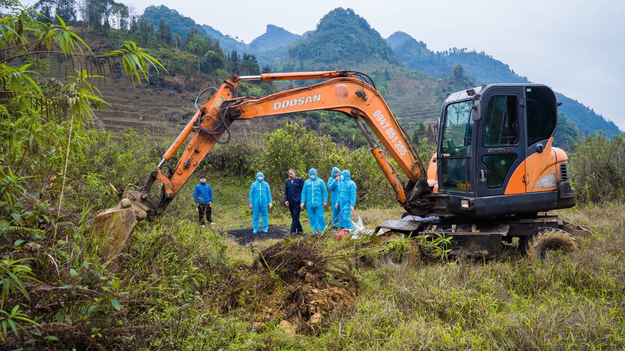 Sau vụ chó dữ cắn nam sinh, Lào Cai tiêu hủy chó vô chủ - 1