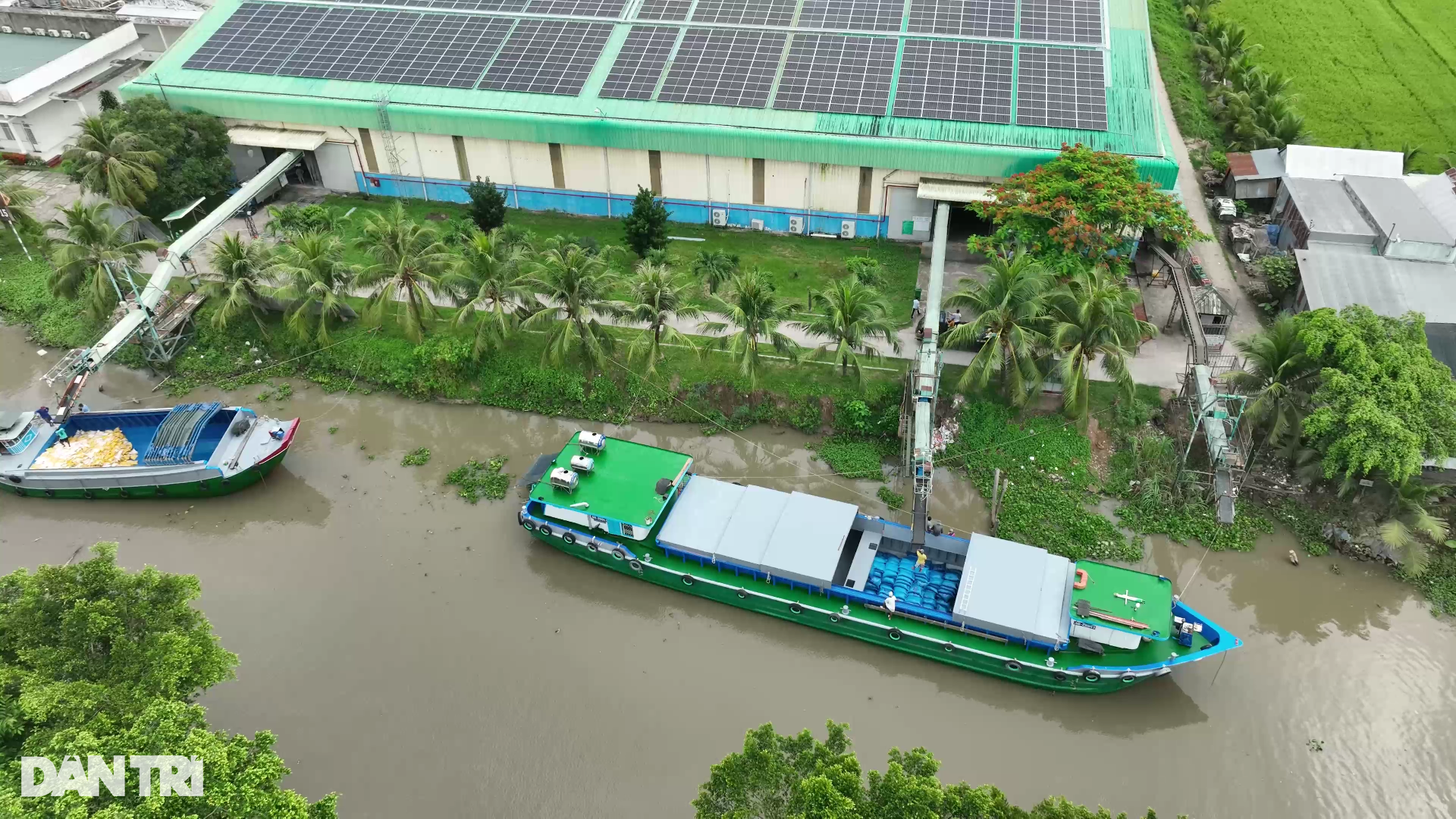 Làm thế nào để nông dân cường quốc lúa gạo giàu lên? - 7 Làm thế nào để nông dân cường quốc lúa gạo giàu lên? - 7