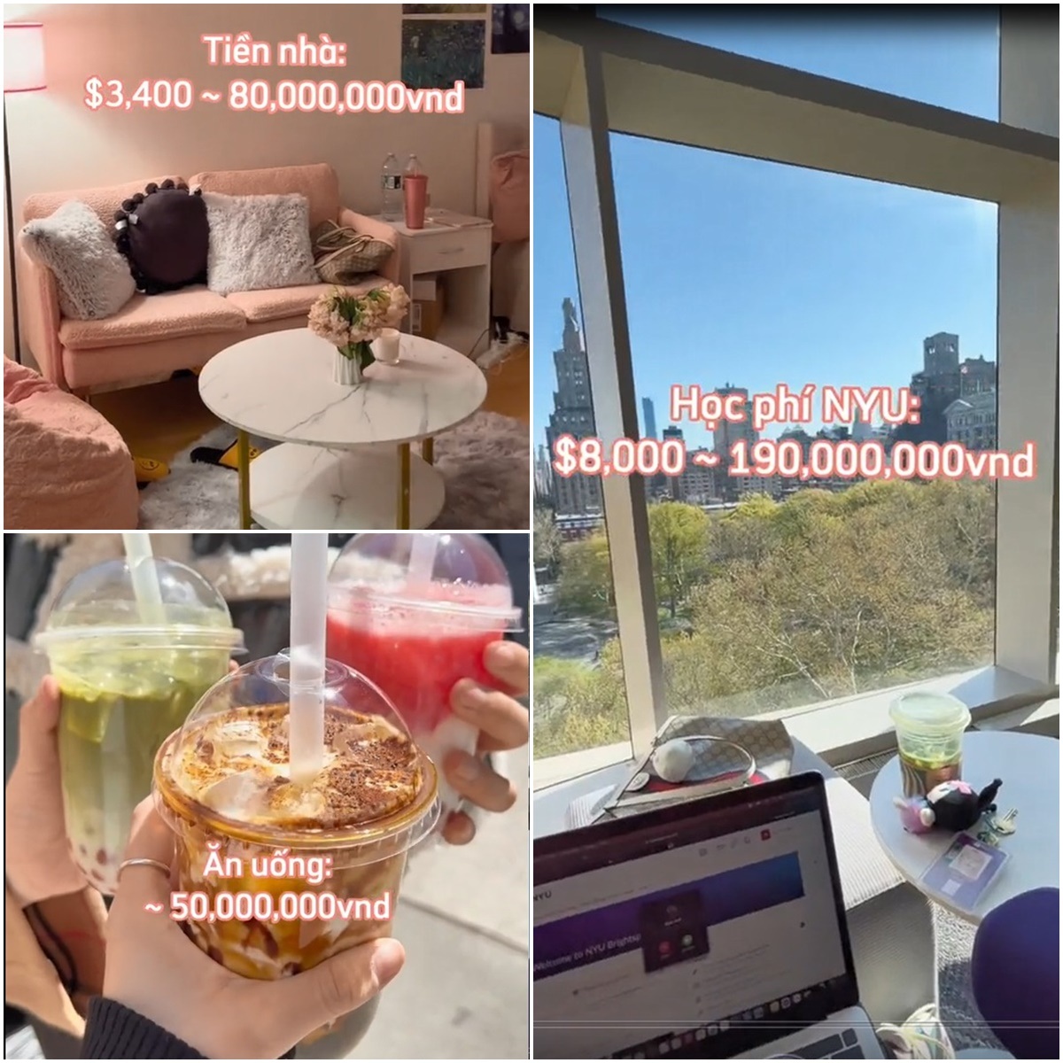 View - Tiểu thư con nhà giàu Việt Nam chi hơn 400 triệu/tháng khi du học Mỹ | Báo Dân trí