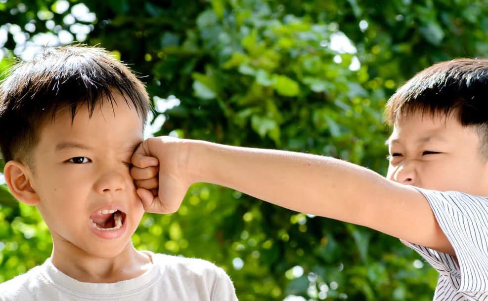 Phải làm sao khi hai đứa con trai suốt ngày đánh nhau, cãi vã? - 1 Phải làm sao khi hai đứa con trai suốt ngày đánh nhau, cãi vã? - 1
