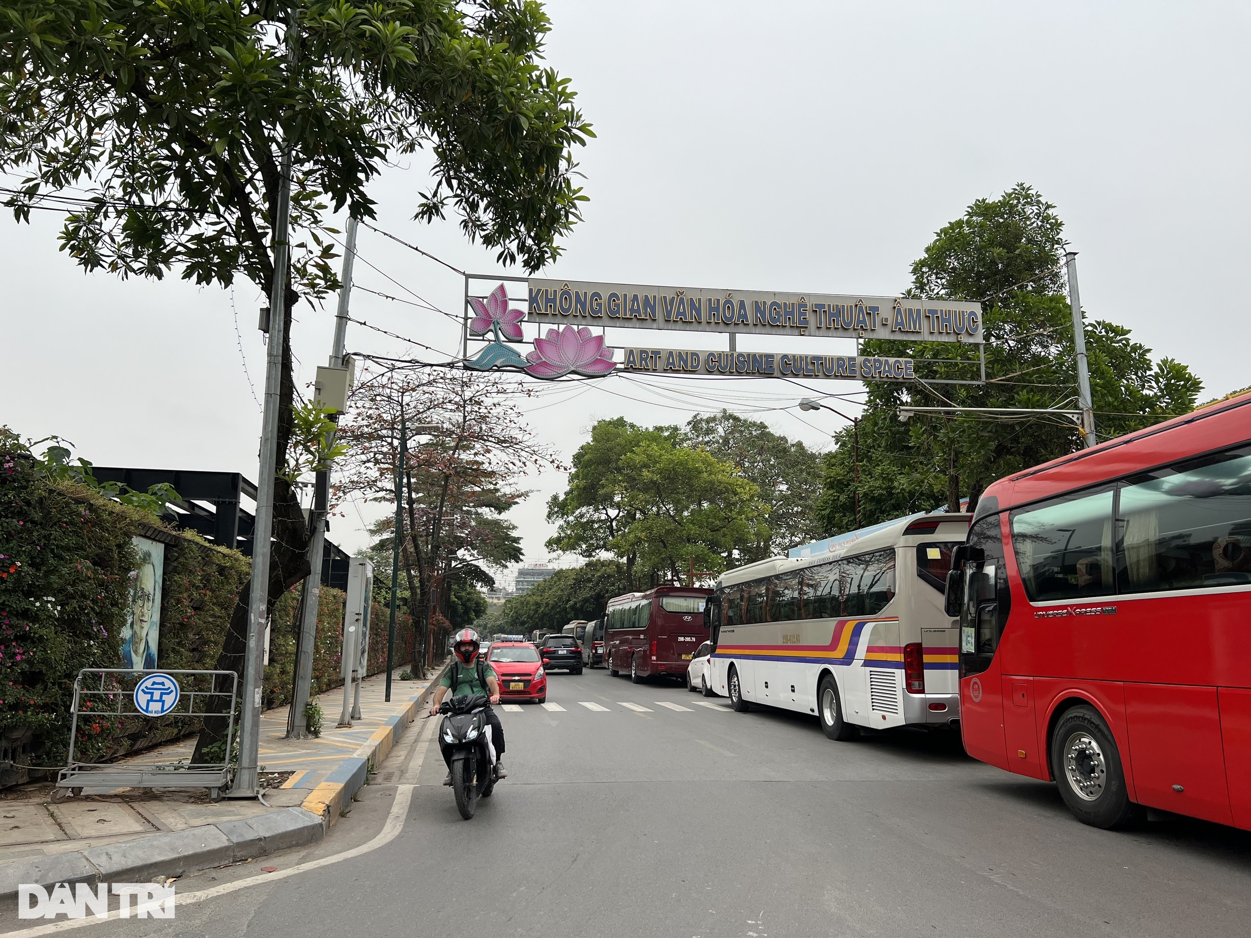 Sở Xây dựng Hà Nội nói về đề nghị di chuyển 55 cây ở phố Vũ Tuấn Chiêu - 6