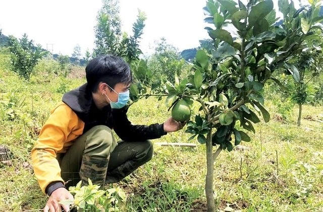 Tăng tốc giải ngân nguồn vốn giảm nghèo - 1 Tăng tốc giải ngân nguồn vốn giảm nghèo - 1