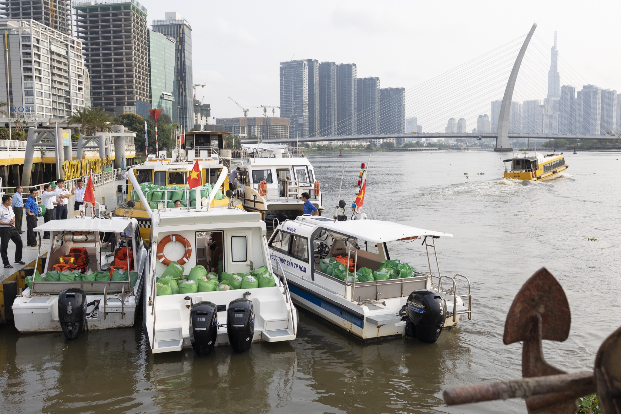 Hàng trăm nghìn cá, tôm, cua được thả xuống sông Sài Gòn - 2