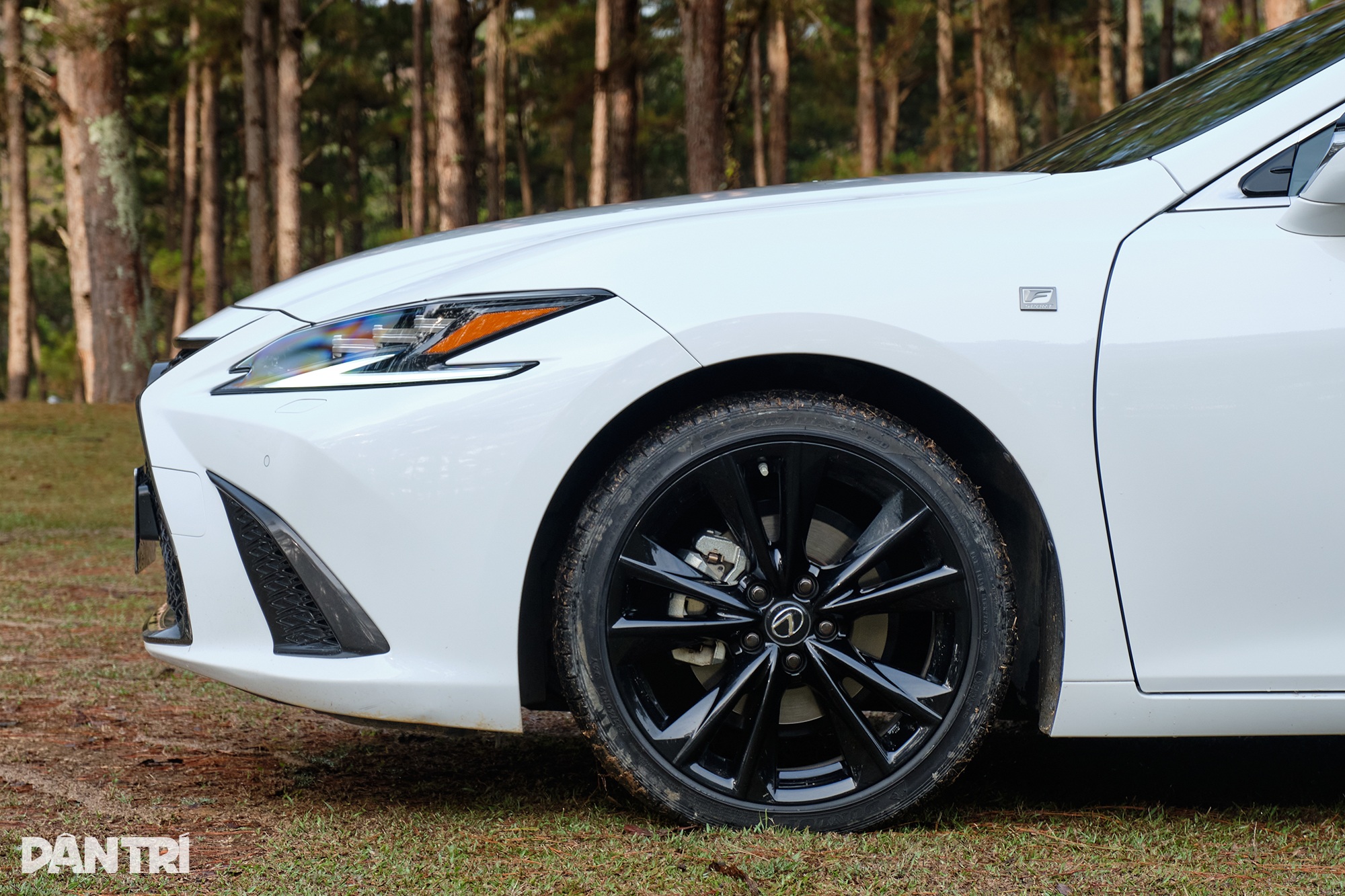 View - Trải nghiệm Lexus ES 250 F Sport: Lái hay hơn nhưng vẫn thiếu chút để "đã" | Báo Dân trí