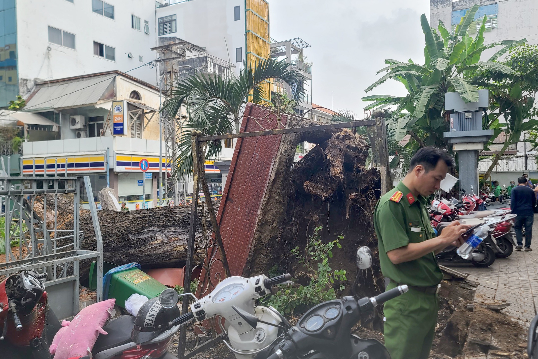 Vụ cây lớn bật gốc trước cổng trường: 7 người gặp nạn, thai phụ nguy kịch - 3