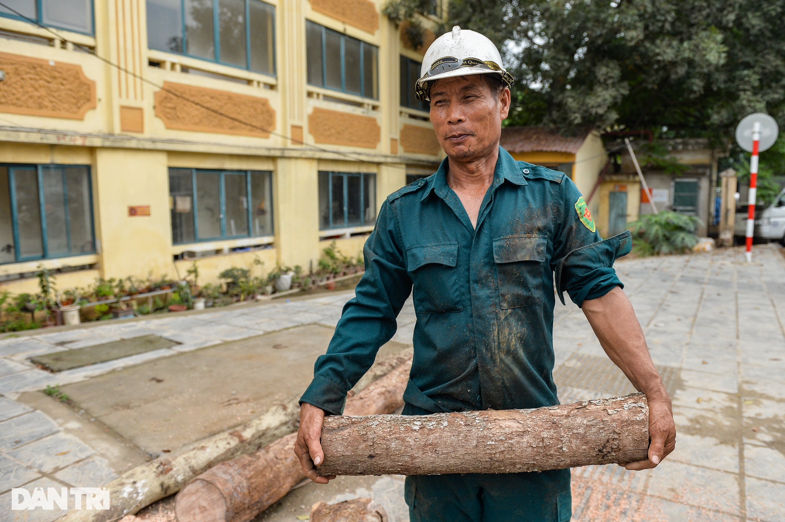 Hà Nội: Nhổ bỏ hàng loạt cây xanh chết khô trên tuyến đường 340 tỷ đồng - 2