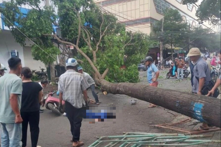 Người dân ùa ra đường cứu cô gái đi xe máy bị cây lớn đổ đè ngang người - 3