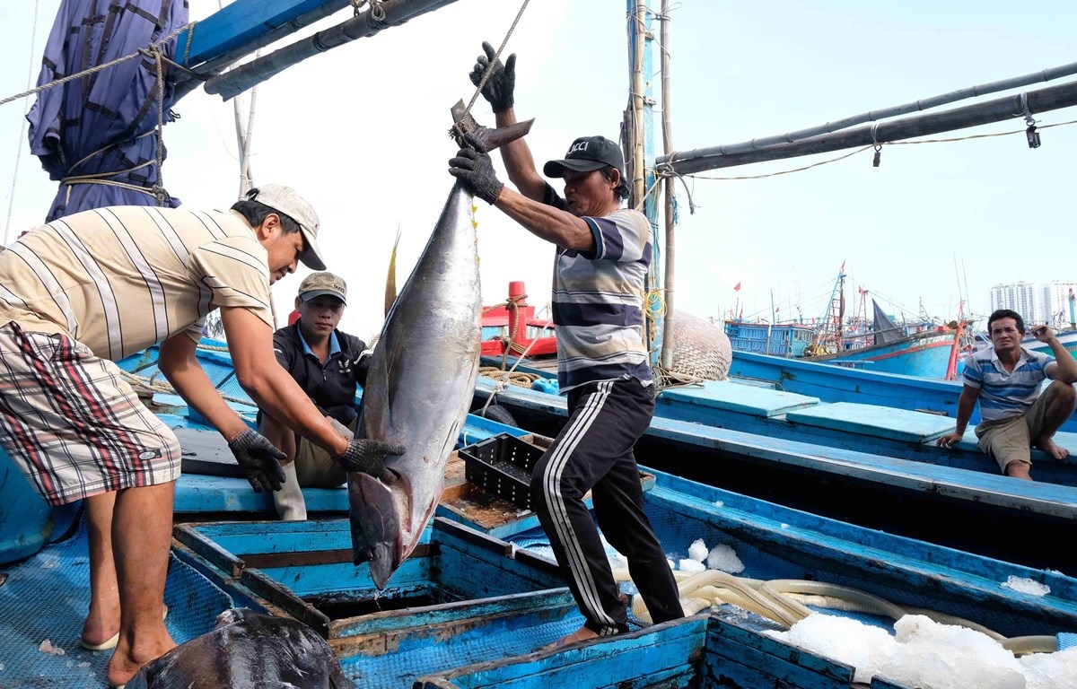 Yêu cầu Trung Quốc chấm dứt lệnh cấm đánh bắt cá phi lý ở Biển Đông - 1