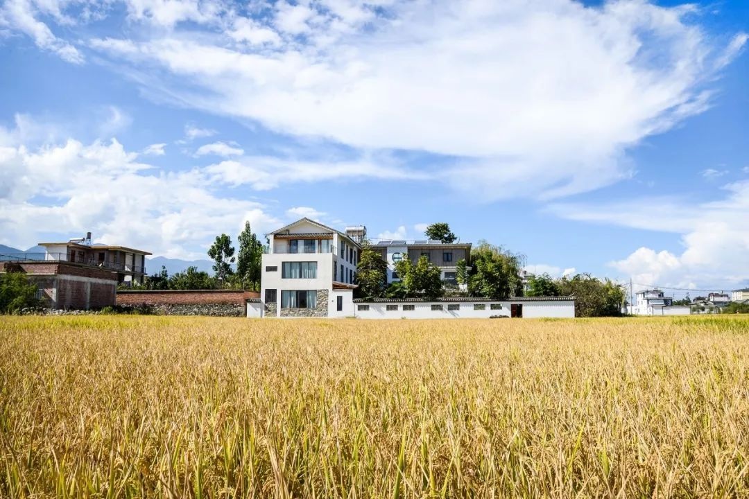 View - 4 anh em ở Trung Quốc góp tiền, xây nhà 3 tầng báo hiếu cha mẹ | Báo Dân trí