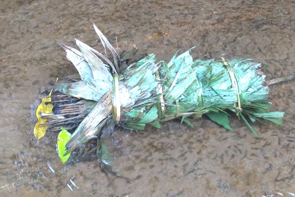 Vụ cá chết bất thường rải rác 4km mặt sông ở Quảng Nam: Nghi bị đầu độc - 2