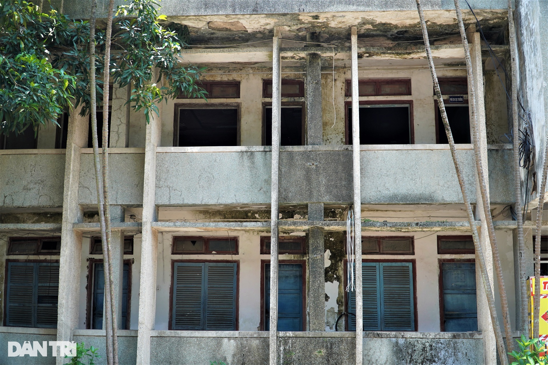Hàng loạt trụ sở, nhà khách bỏ hoang tại các vị trí đất vàng ở Hà Tĩnh - 4