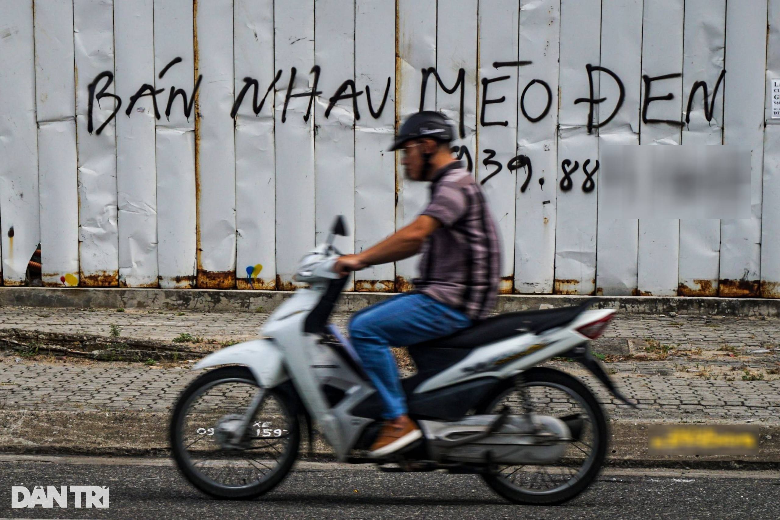 Nhau mèo đen hút tài lộc, chữa nhiều bệnh được bán giá tiền triệu - 1 Nhau mèo đen hút tài lộc, chữa nhiều bệnh được bán giá tiền triệu - 1