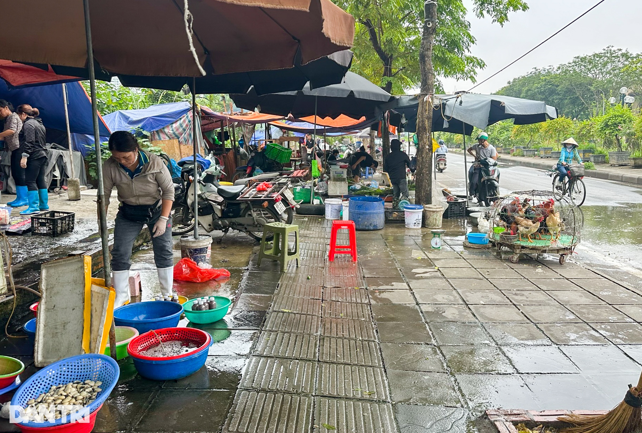 Xử lý lấn chiếm vỉa hè ở Hà Nội: Người dân vẫn phải đi xuống lòng đường! - 12