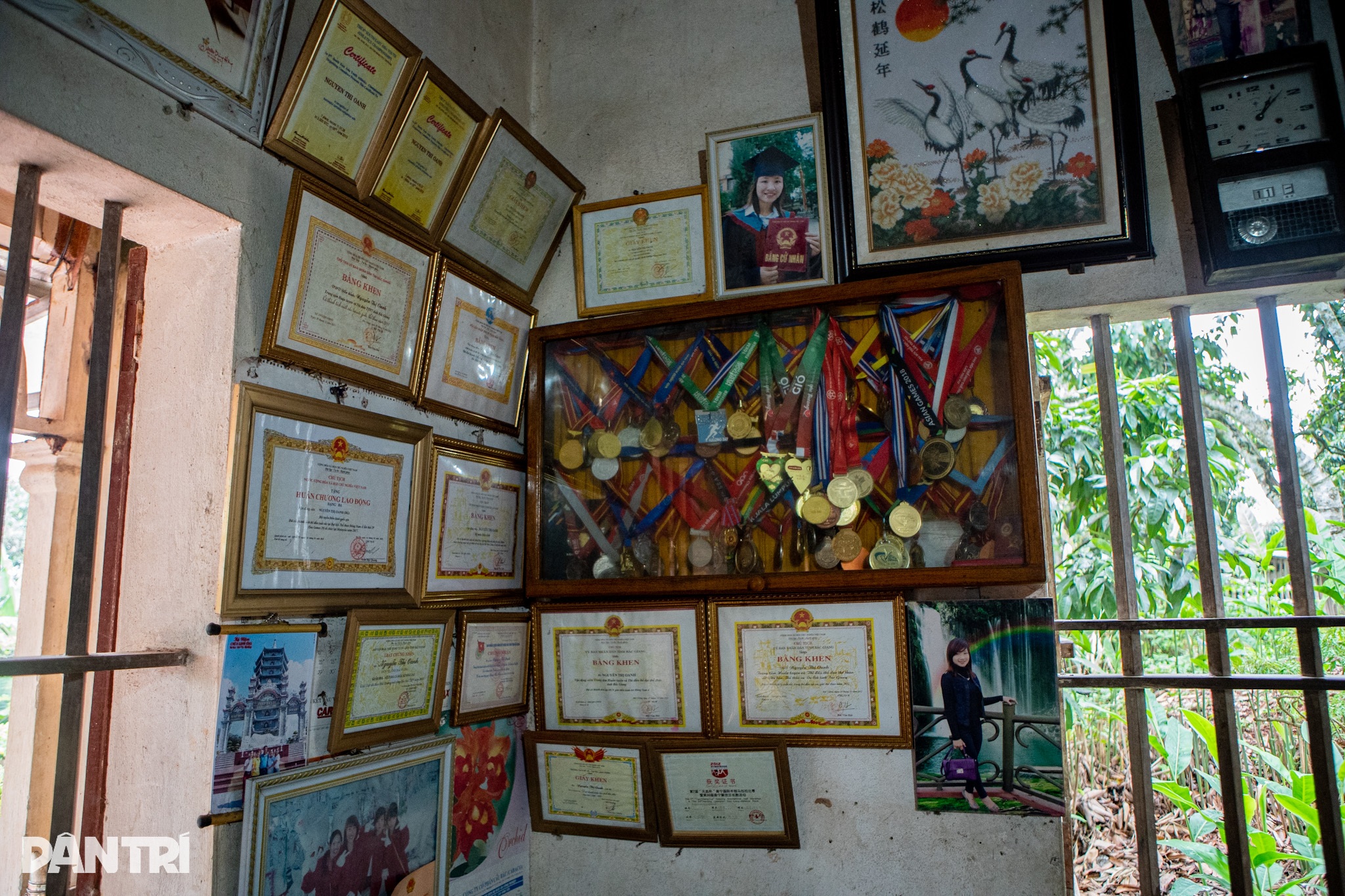 View - Căn nhà đơn sơ, ngập huy chương của "người phi thường" - Nguyễn Thị Oanh | Báo Dân trí