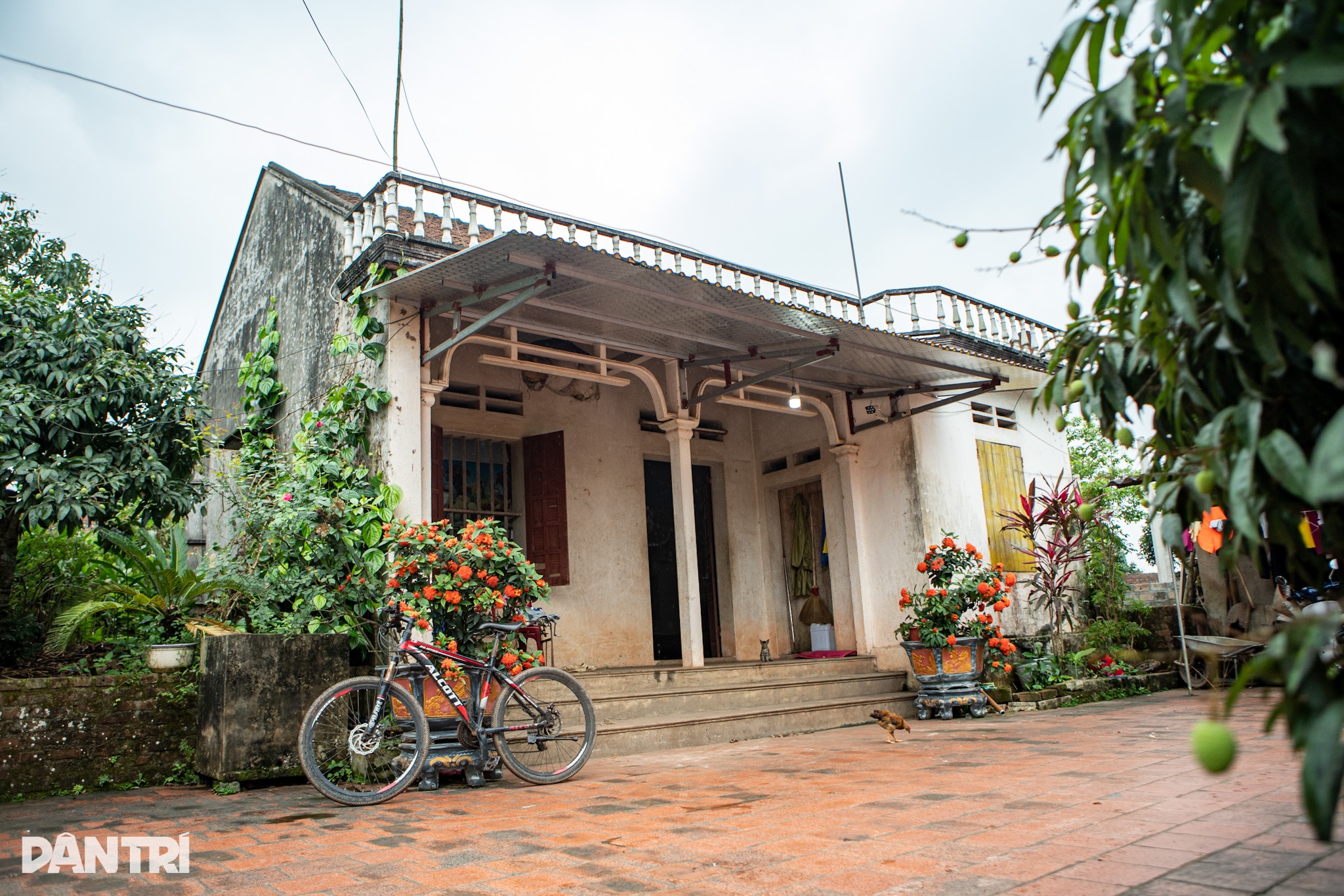 View - Căn nhà đơn sơ, ngập huy chương của "người phi thường" - Nguyễn Thị Oanh | Báo Dân trí