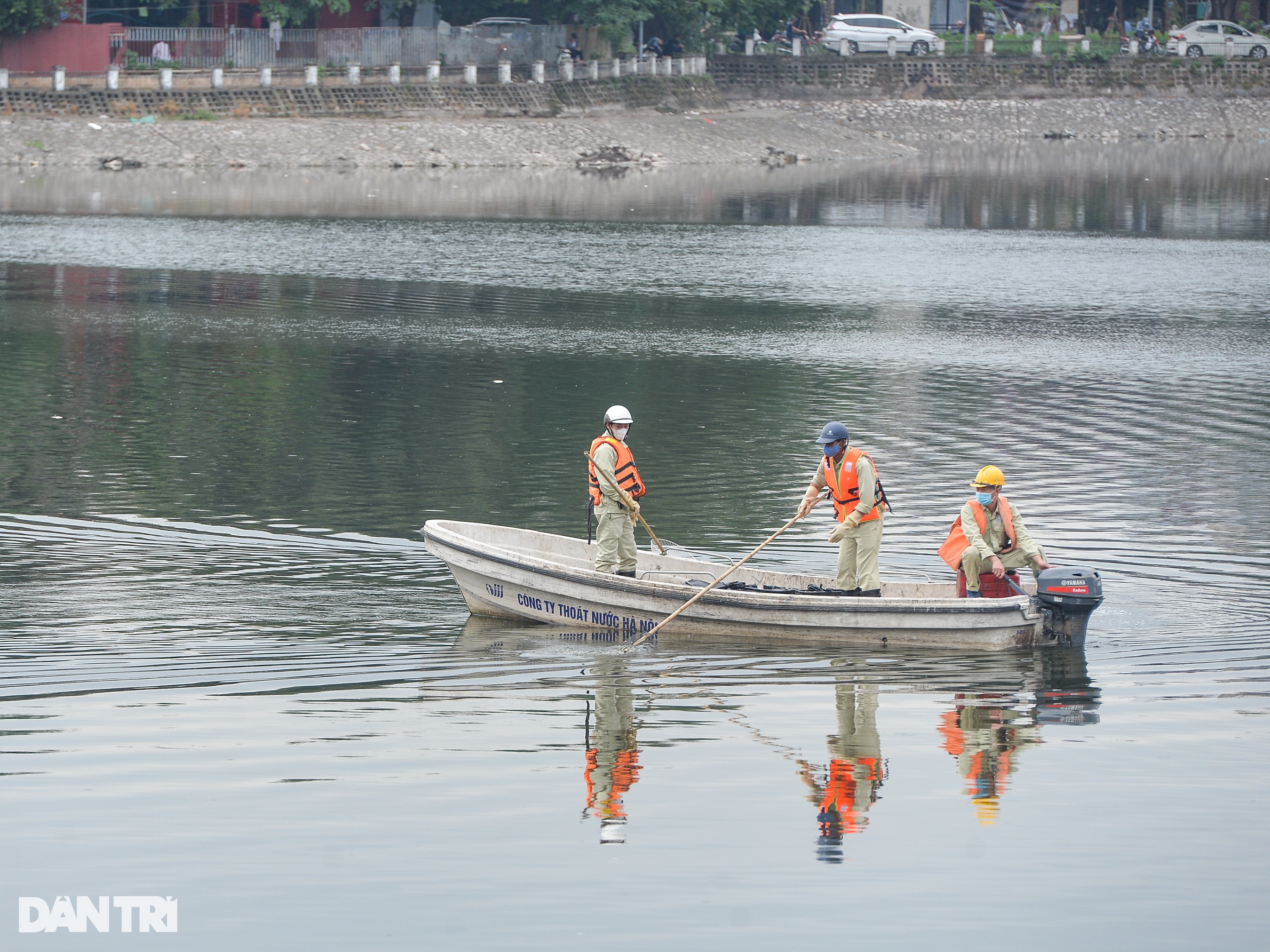 Hà Nội: Hồ Hoàng Cầu cá chết nổi trắng do thay đổi thời tiết - 1