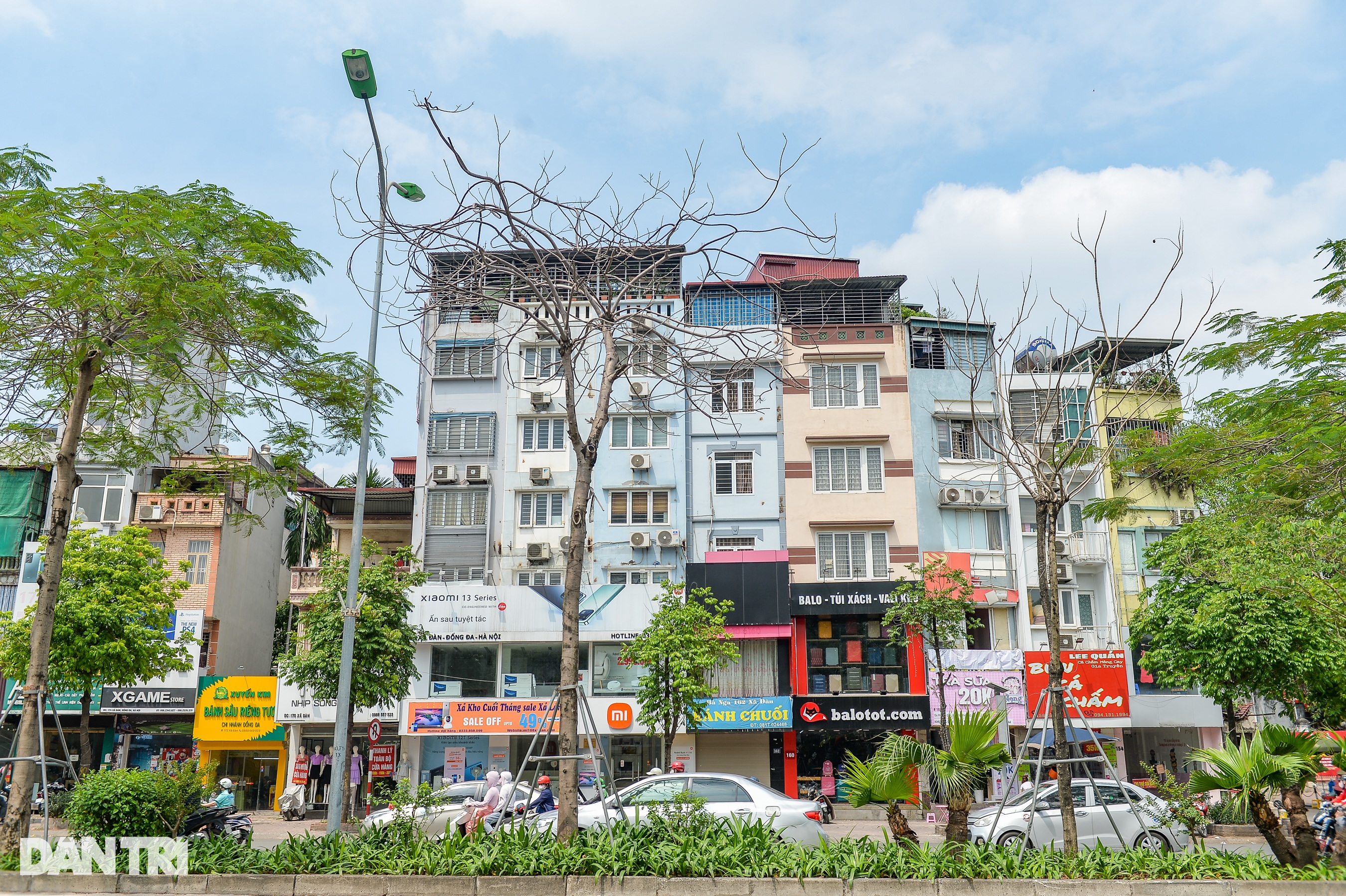 Hàng loạt cây có dấu hiệu chết khô, trụi lá ở Hà Nội - 3 Hàng loạt cây có dấu hiệu chết khô, trụi lá ở Hà Nội - 3