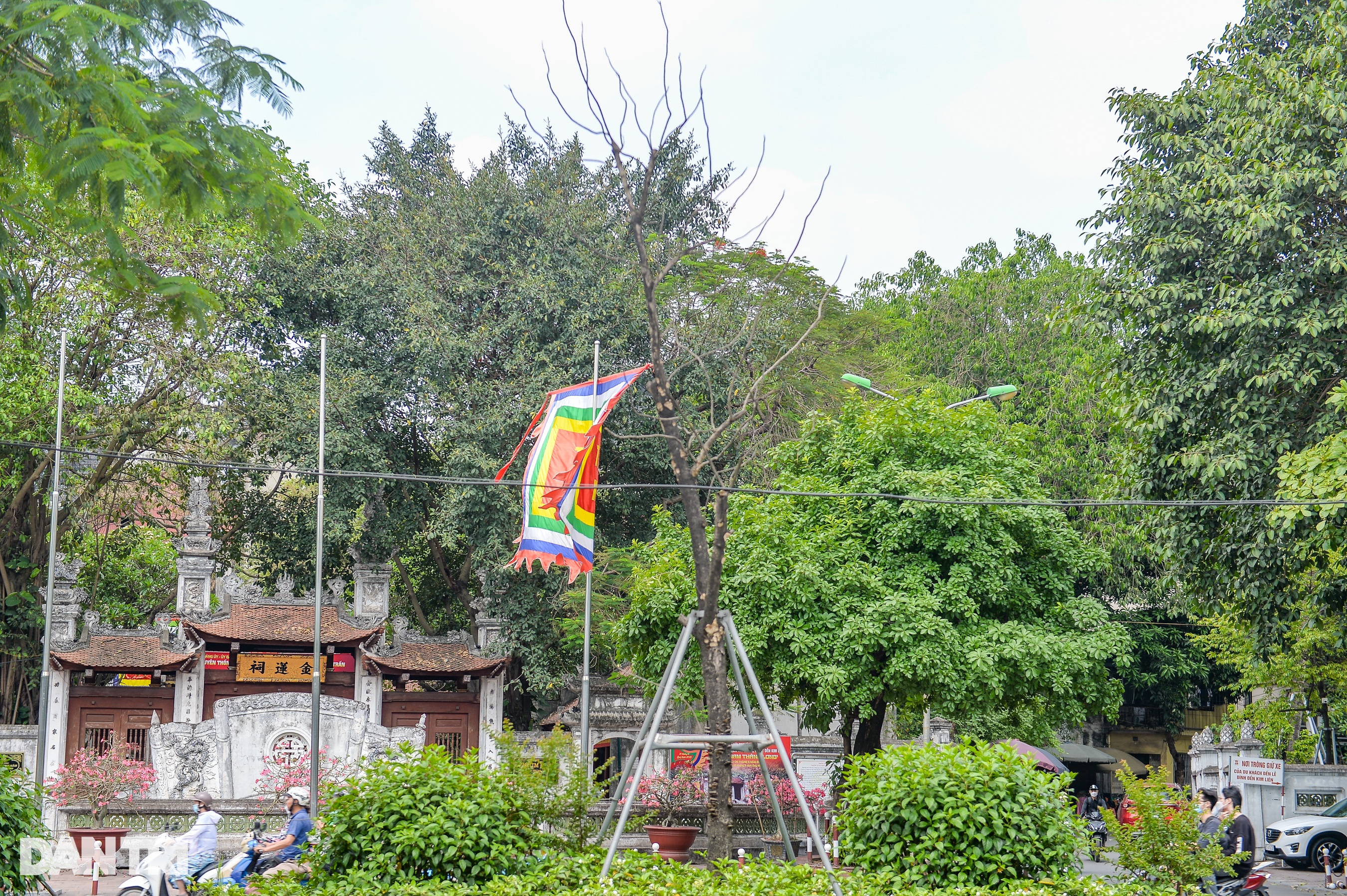 Hàng loạt cây có dấu hiệu chết khô, trụi lá ở Hà Nội - 4 Hàng loạt cây có dấu hiệu chết khô, trụi lá ở Hà Nội - 4