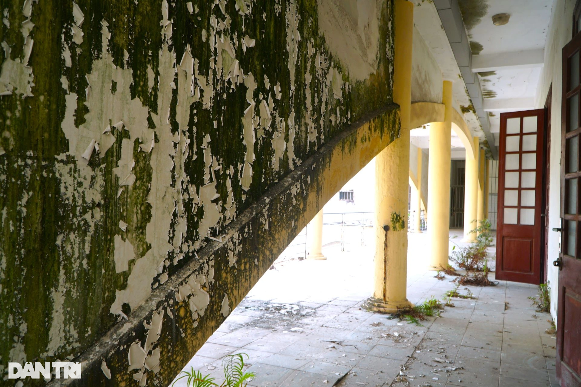 Hàng loạt trụ sở cũ bỏ hoang trên đại lộ đẹp nhất Thanh Hóa - 4