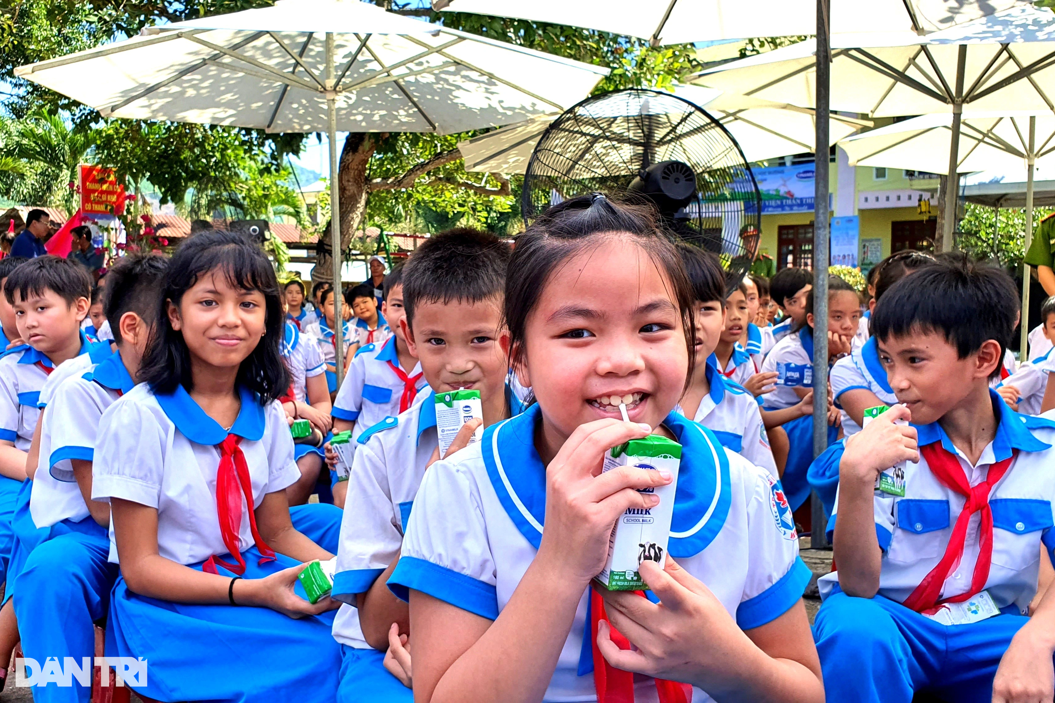 Cả năm học sinh không được uống sữa học đường vì Sở tắc trách? - 1